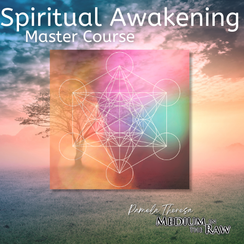 Sessions With Pamela Theresa Medium In The Raw Pamela Theresa