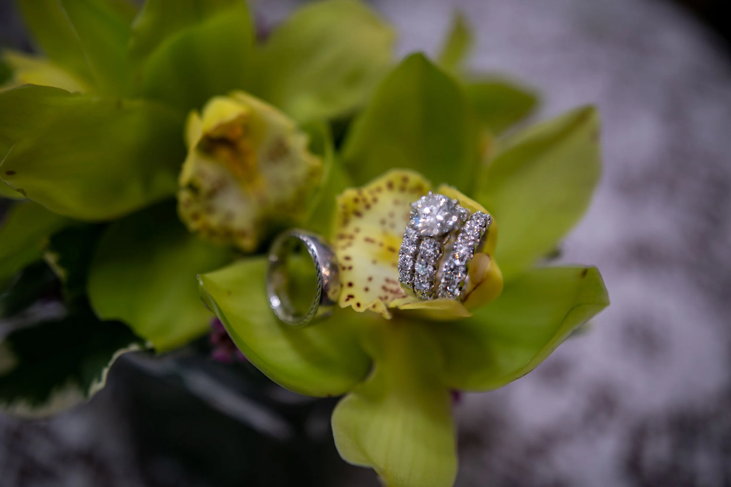 DETAILS SUSAN_11.jpg