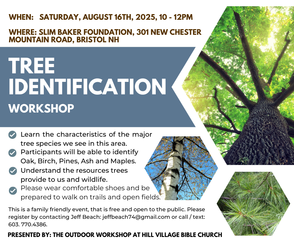 Tree Identification Workshop