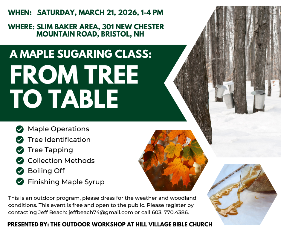 Maple sugaring class: from tree to table 