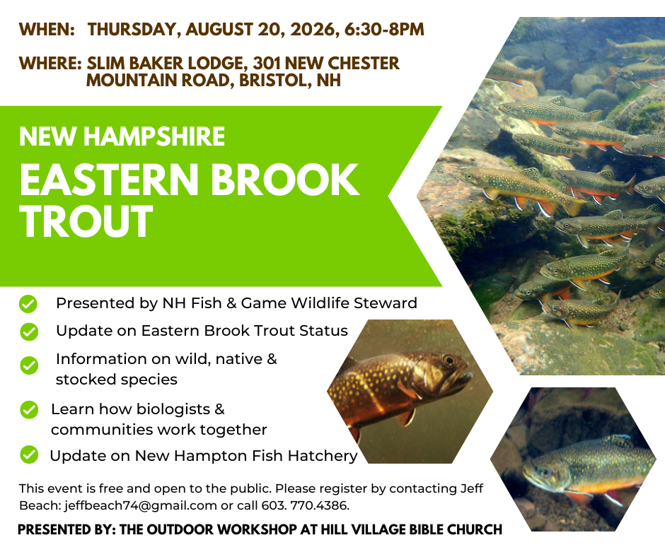 NH Eastern Brook Trout Talk