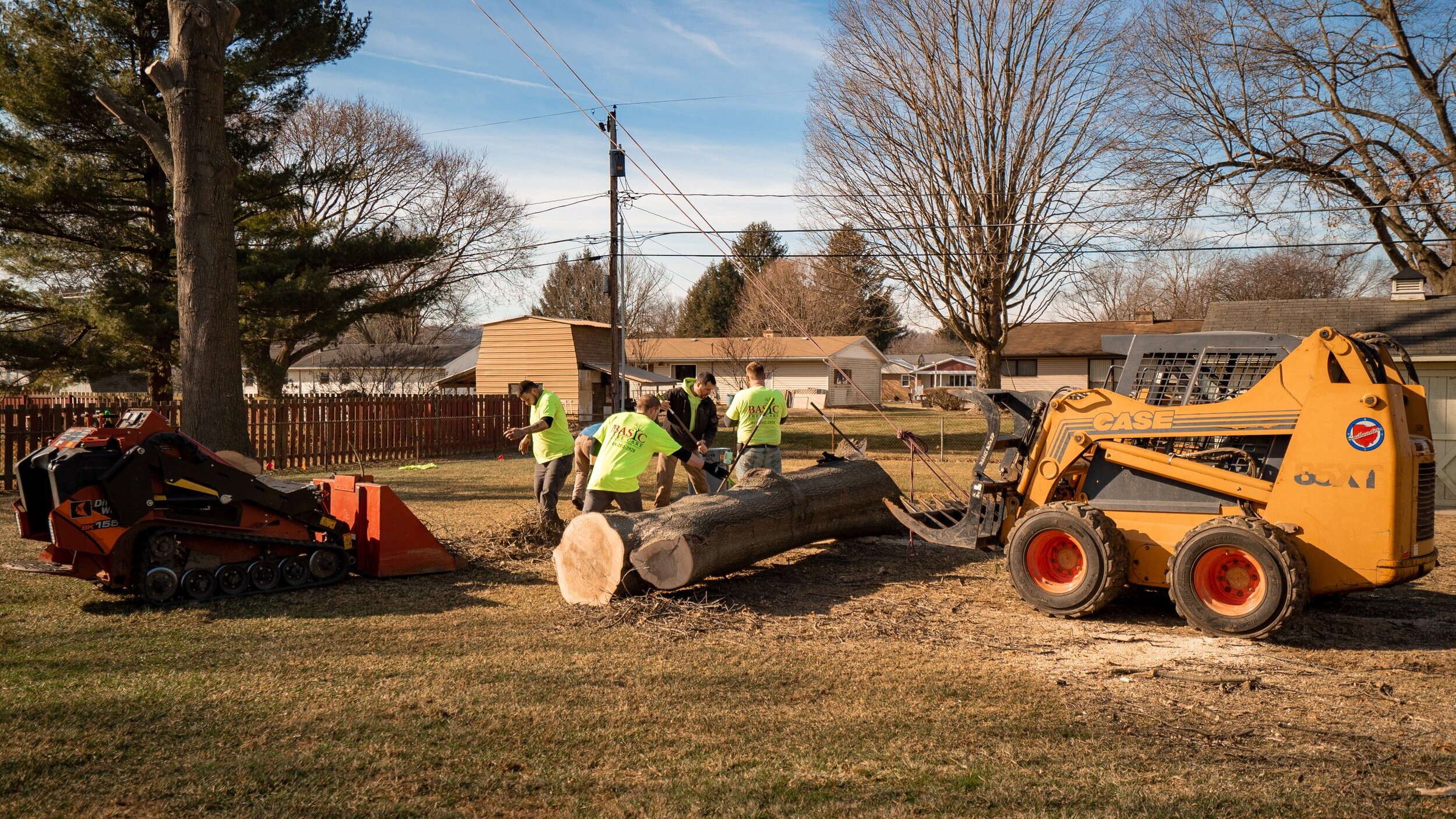 tree service wellington