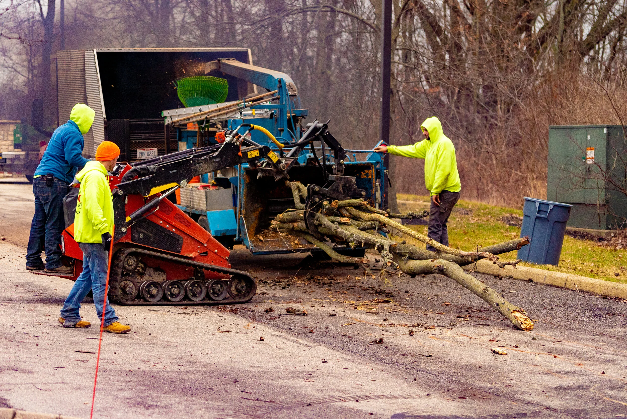 Tree Service Columbus, OH — Basic Tree Care