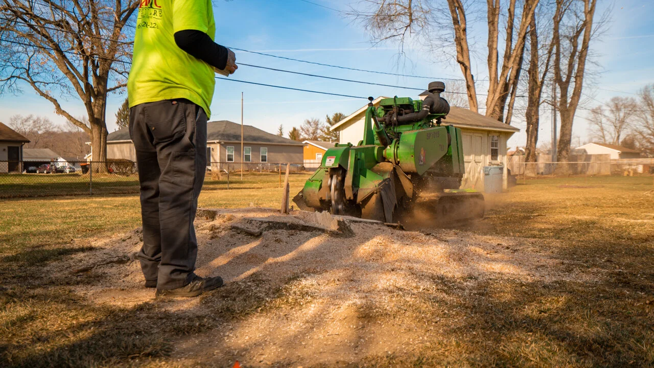 Our Work — Basic Tree Care