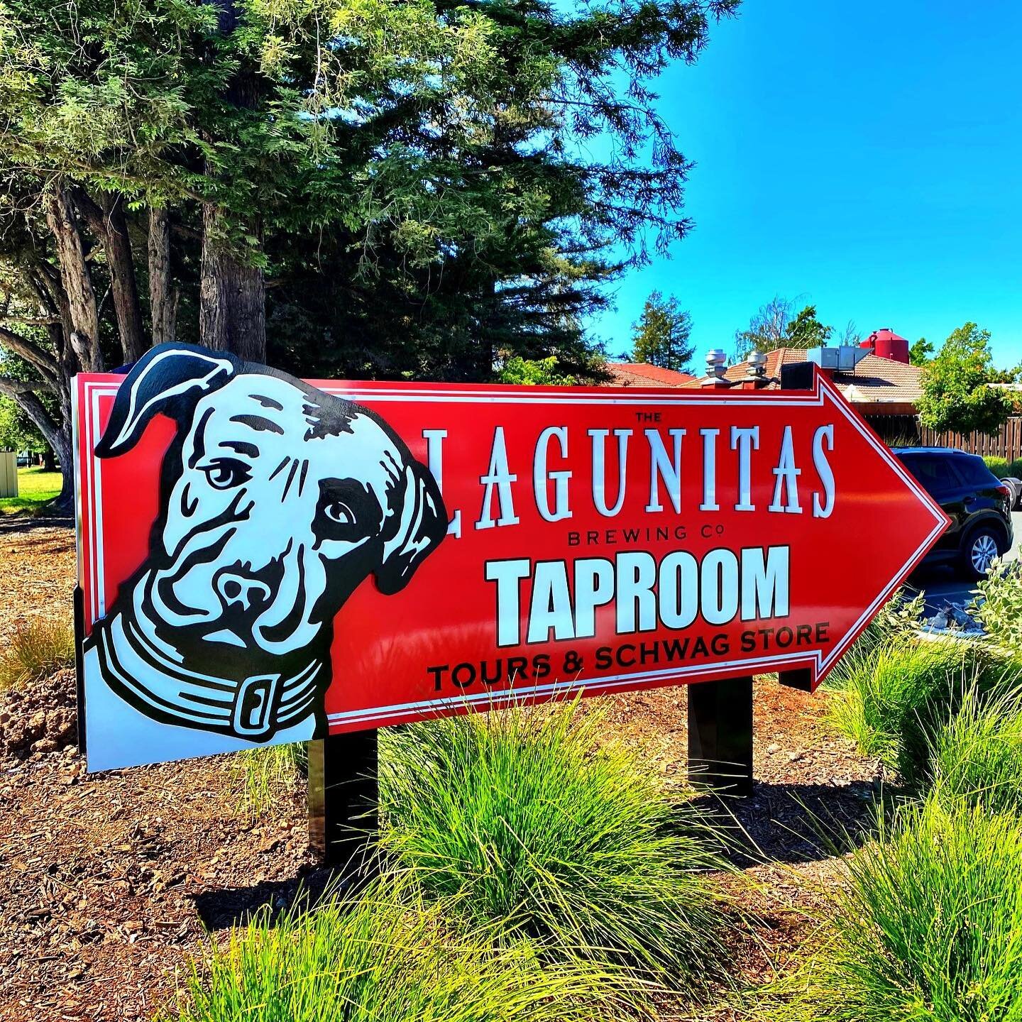 Brewed Up 3 New Signs for @lagunitaspetaluma showcasing a combination of Aluminum , Hdu urethane foam, Acrylic, and Vinyl Graphics. Visit the Taproom in Petaluma for a closer look, tons of hours poured in these huge signs. #beersign #brewsign #laguni