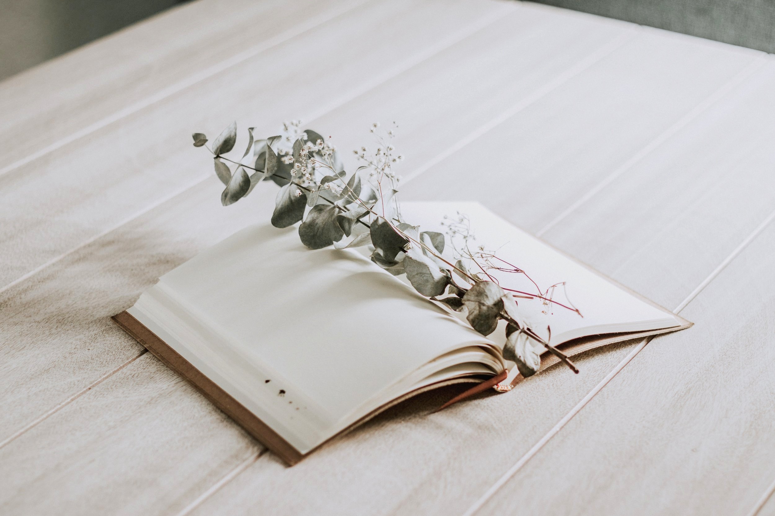 fa-barboza-uDdznFRG41k-unsplash+copy.jpg