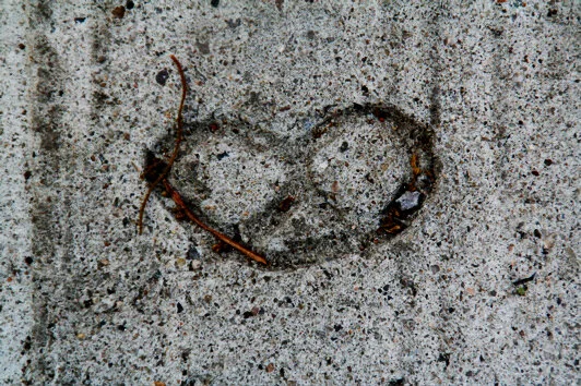 Julie Eisenberg Pitman harmony driftwood kelp collage design scrap steel assemblage nature sculpture paper photography abstract dada urban fossils lava solidified