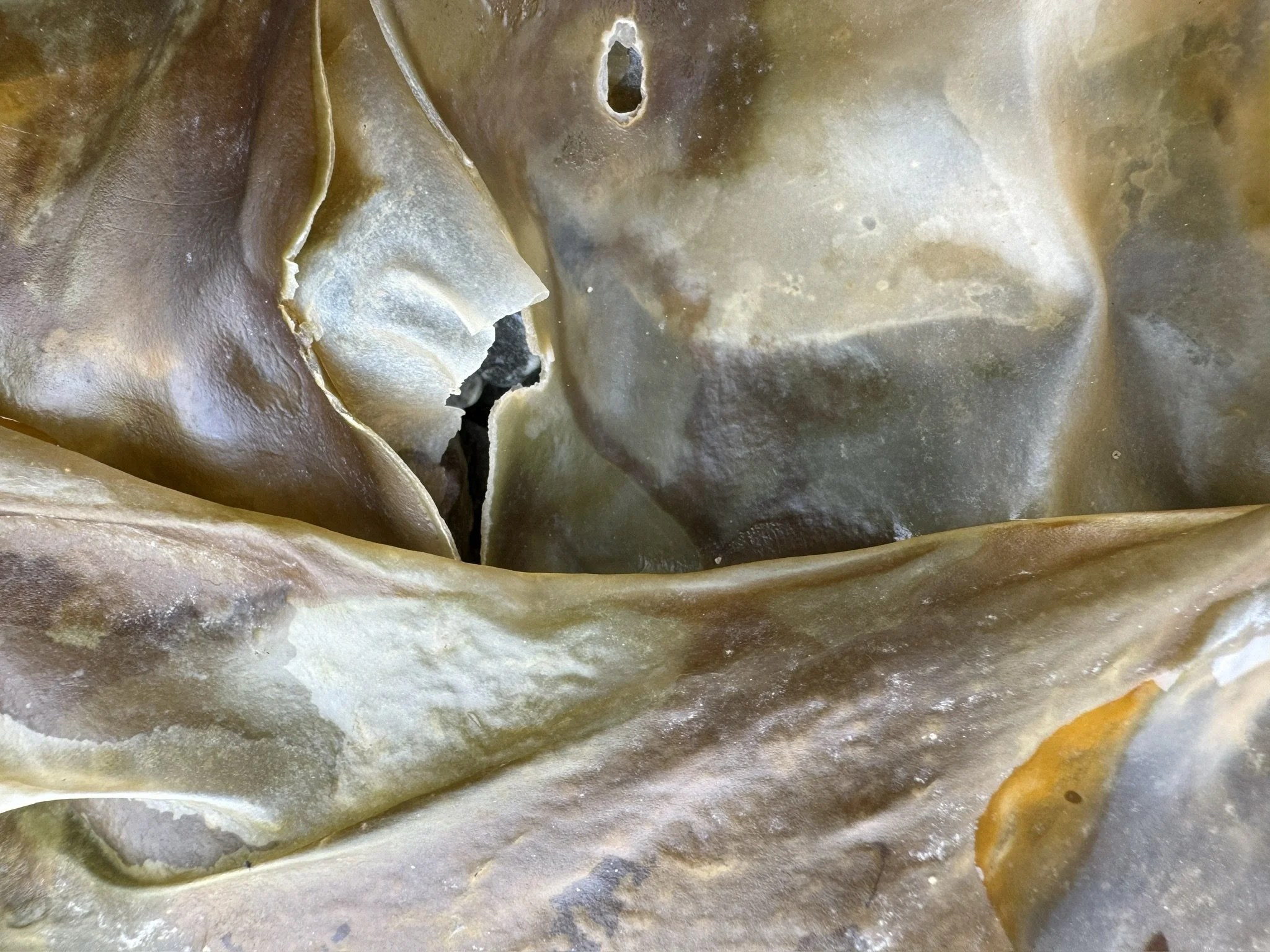 Julie Eisenberg Pitman harmony driftwood kelp collage design scrap steel assemblage nature sculpture paper photography abstract dada urban fossils lava solidified