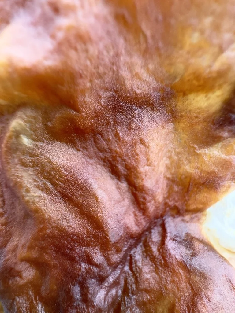 Julie Eisenberg Pitman harmony driftwood kelp collage design scrap steel assemblage nature sculpture paper photography abstract dada urban fossils lava solidified