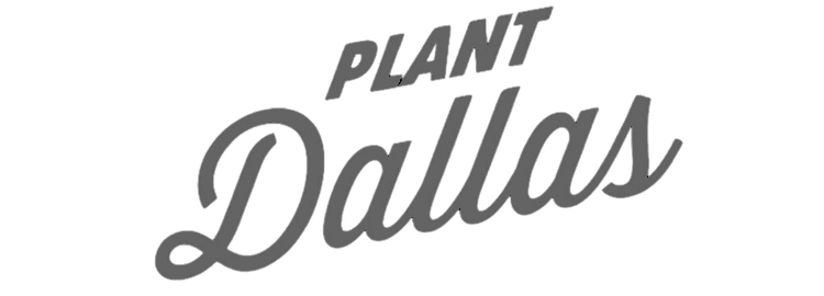 Plant Dallas
