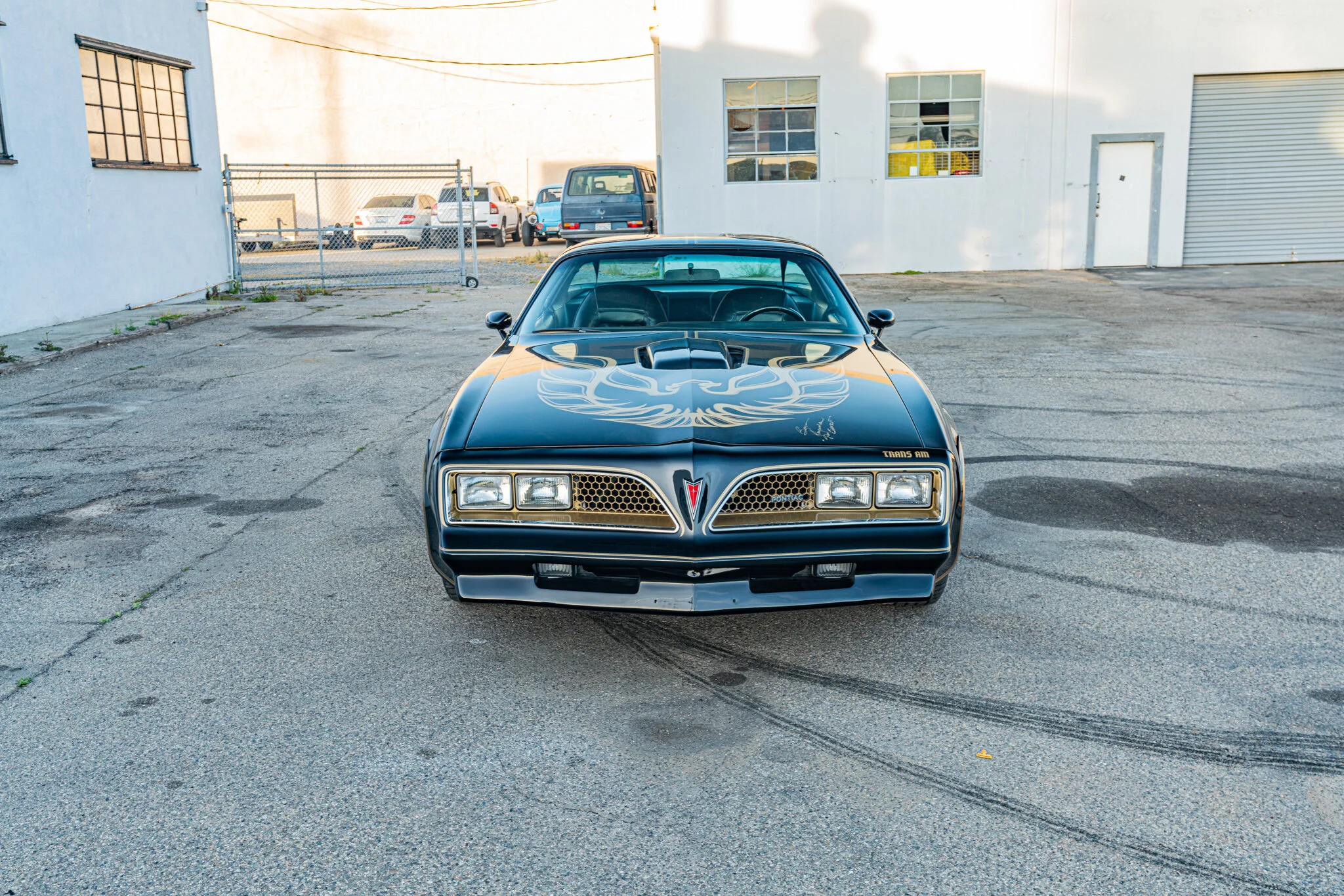 1977_pontiac_firebird_15844860816e7dff9f98764da12.jpg