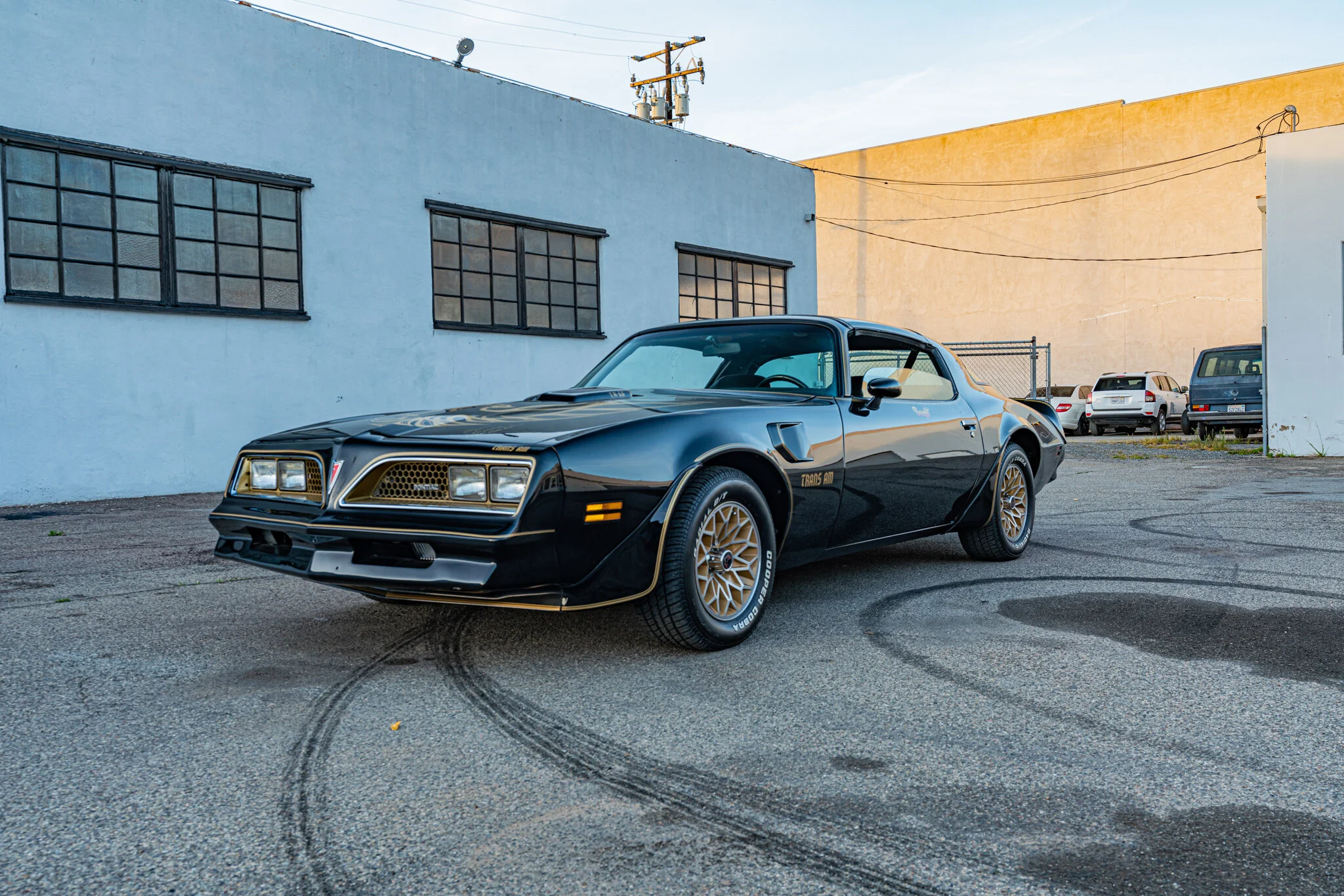 1977_pontiac_firebird_158448615108495d565e01.jpg