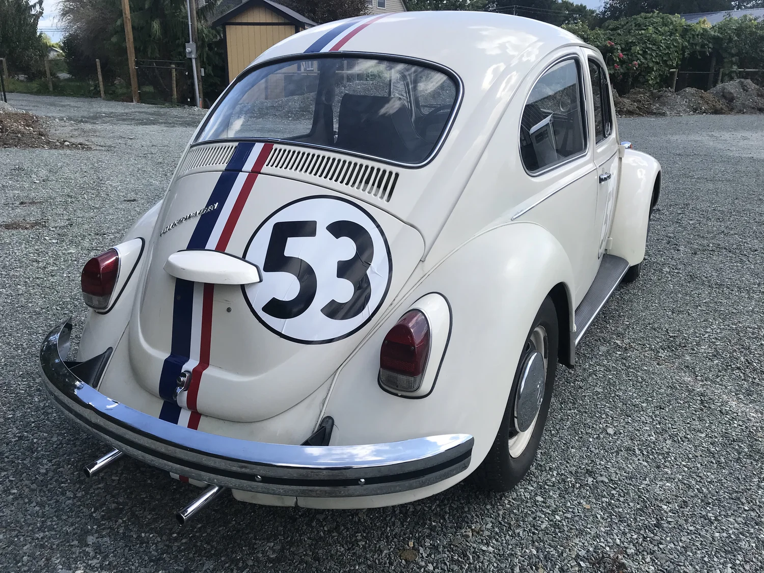 Herbie, The Love Bug — British Columbia DeLorean