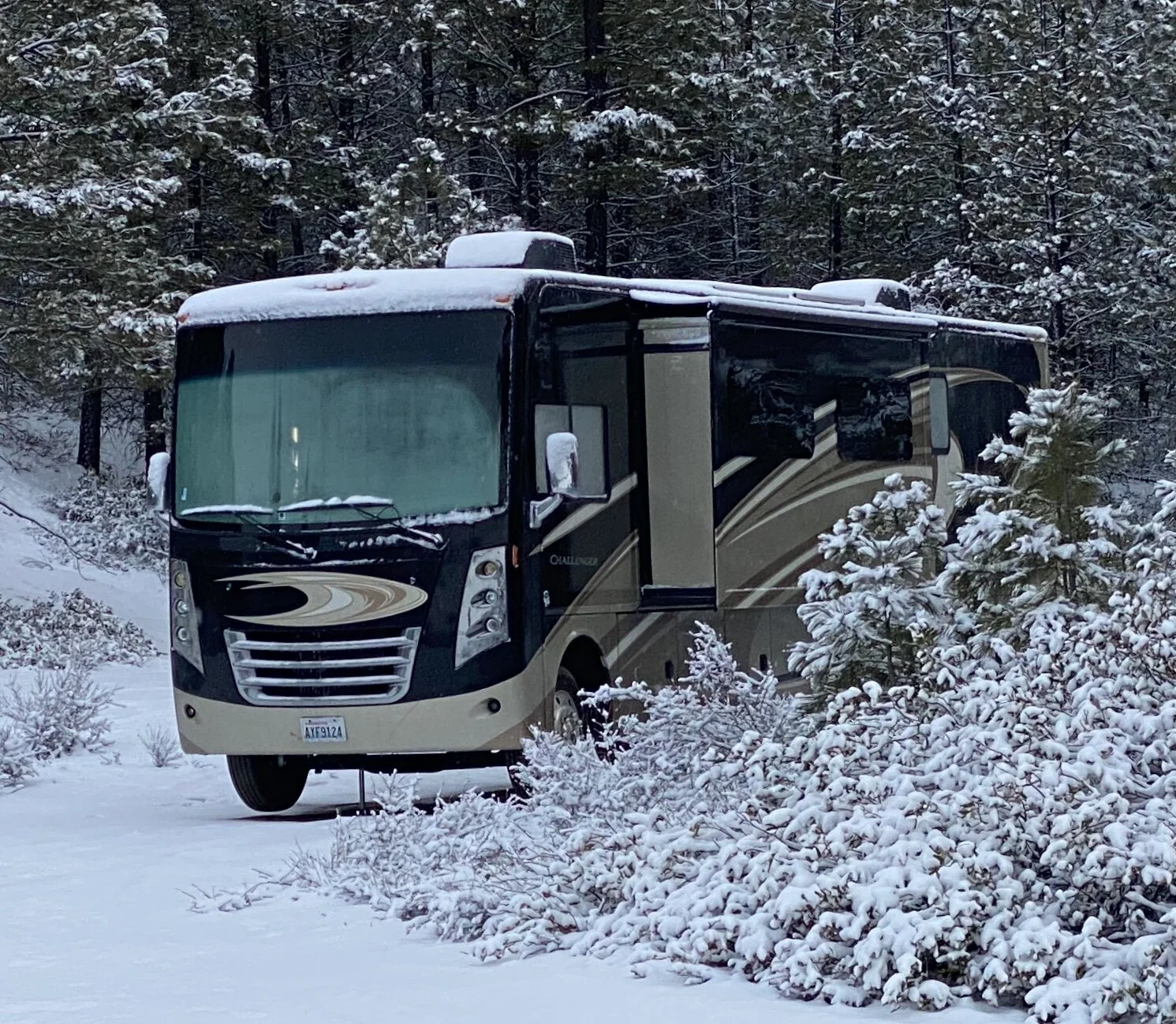 Eager Beavers vs the Winter Storm