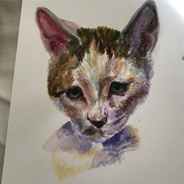 Older #PetPortrait of 💞Wadget the kitty💞 at the Cat Depot in watercolor, 1st time w medium, #repost from some time ago, I love doing pet portraits !! Commissions are officially open (-: I&rsquo;m very financially unstable email me (email button in 