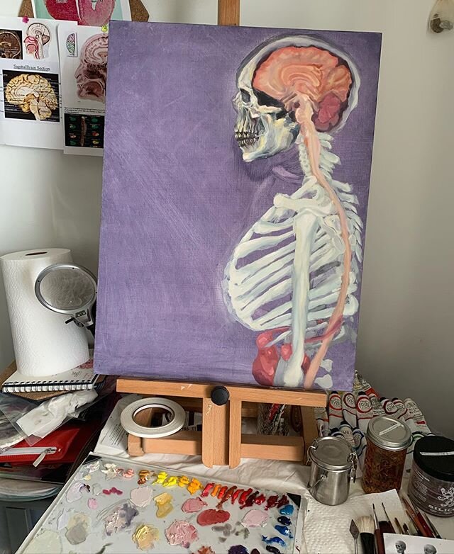 Waiting for the day that this isn&rsquo;t an under painting still and I have all of the tissues painted in that are missing and incomplete for this HPA Axis  #hpaaxis #hypothalamic #pituitary #adrenal #cortisol #glucocorticoids #stress #allostaticloa