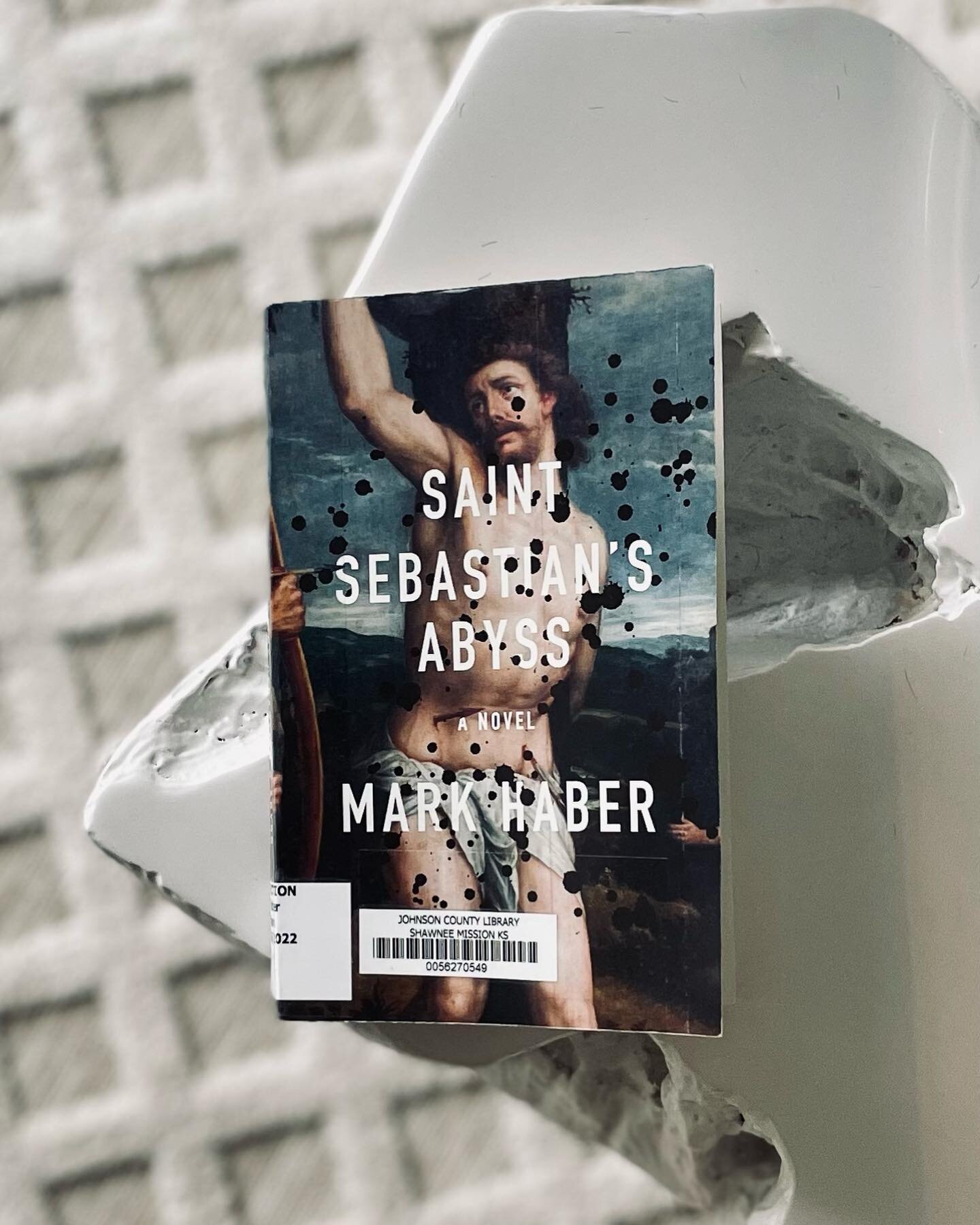 &bull;SAINT SEBASTIAN&rsquo;S ABYSS&bull;⁣
Mark Haber⁣
⁣
For such a slim book, Saint Sebastian&rsquo;s Abyss has a ton to unpack. I have so many theories, but I don&rsquo;t want to spoil it for anyone so, if you&rsquo;ve read this, please slide right