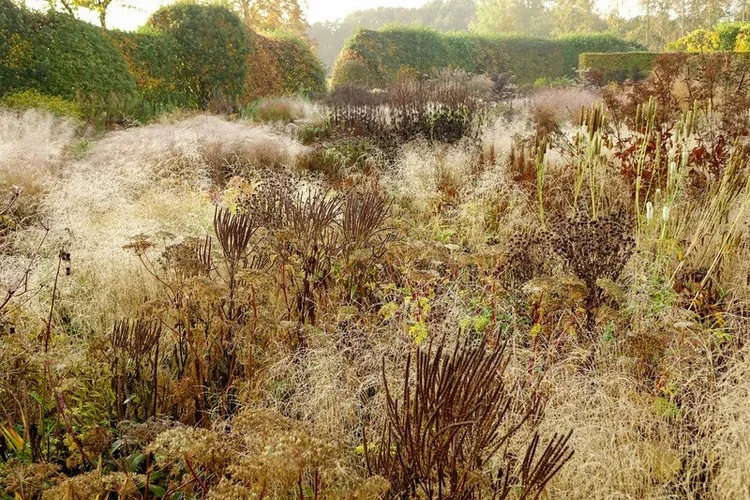 piet oudolf gardens modern design blog whipple russell architects