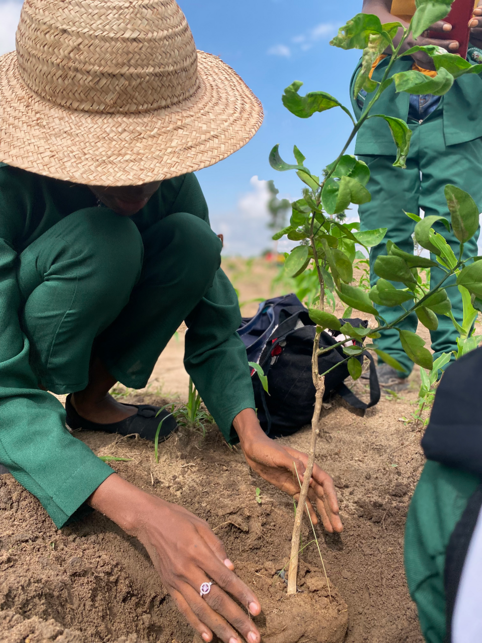 Celebrating the Work of TreePeople