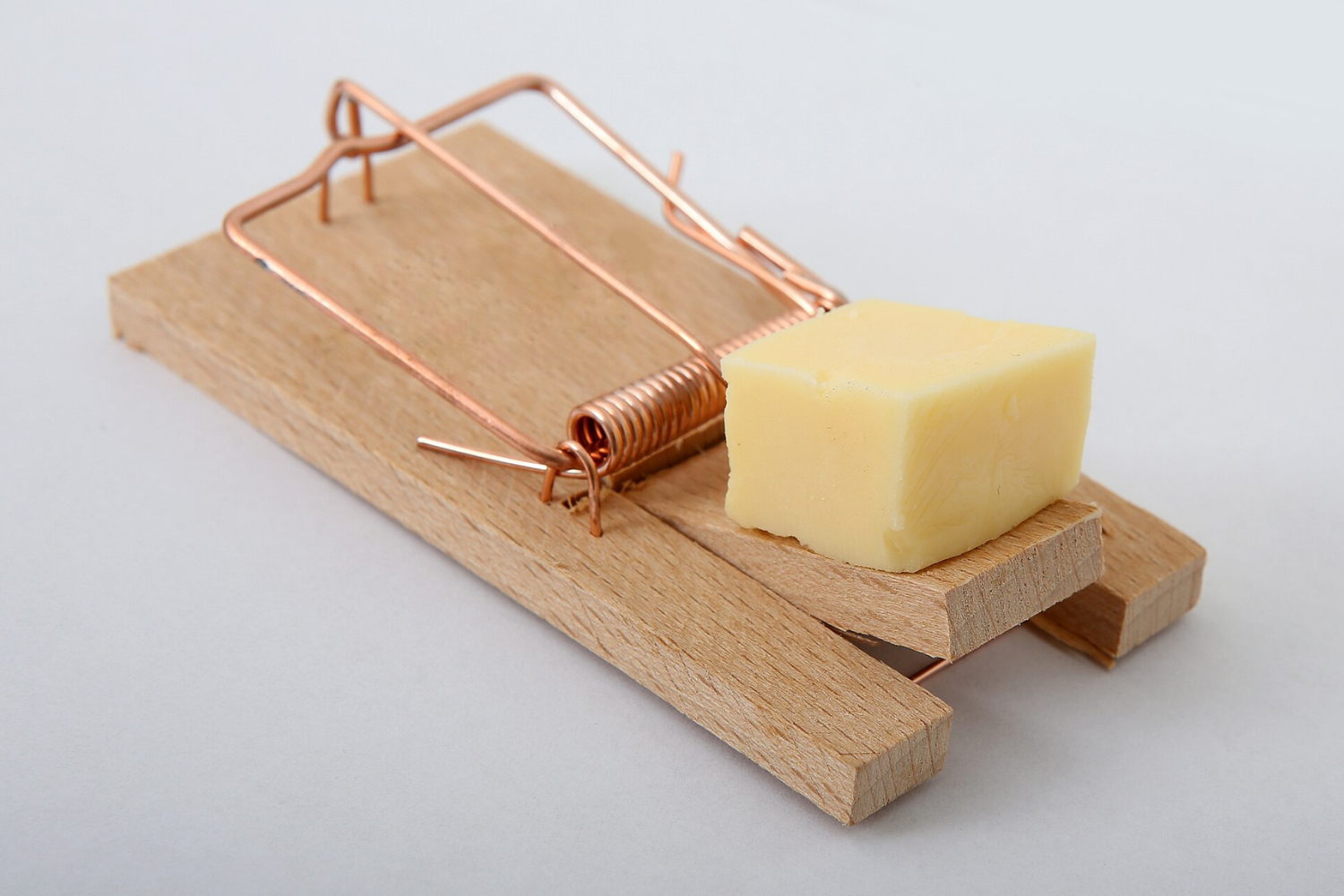 They Did Build a Better Mousetrap
