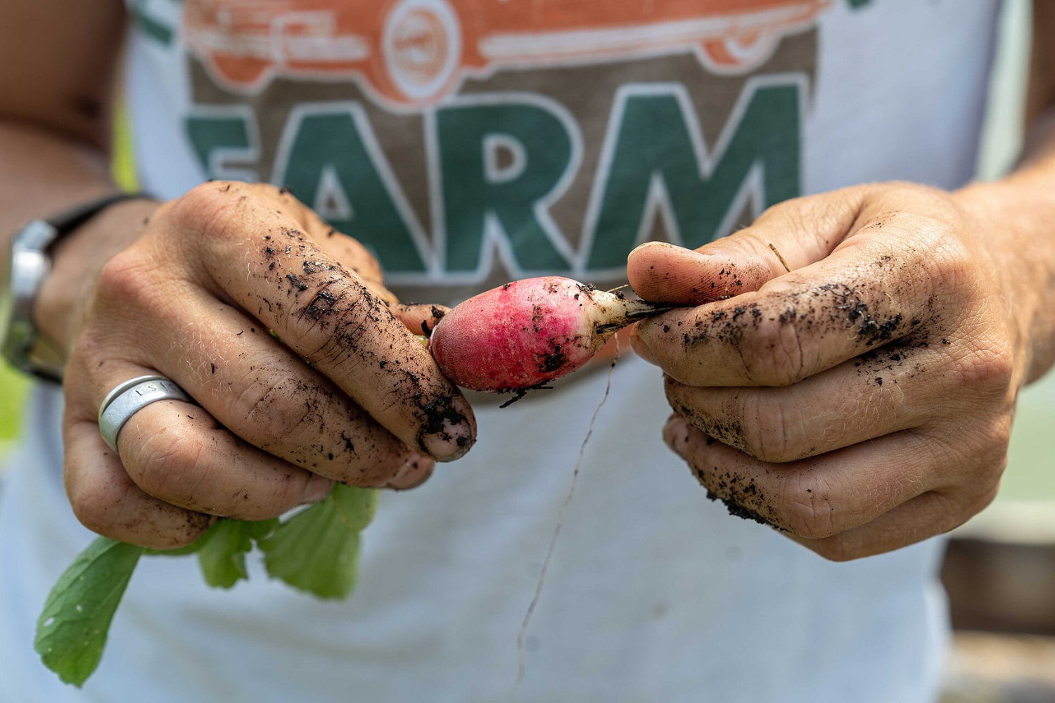 The Enclave at Anza’s New Organic Farmer