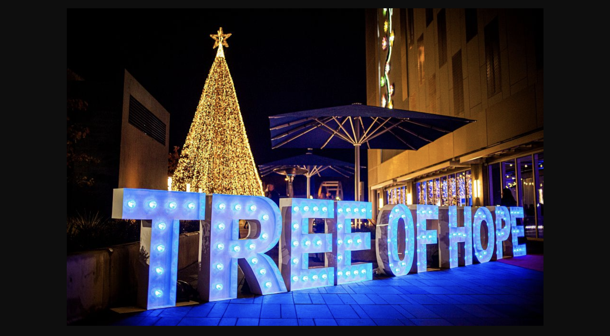 Tree of Hope Festival
