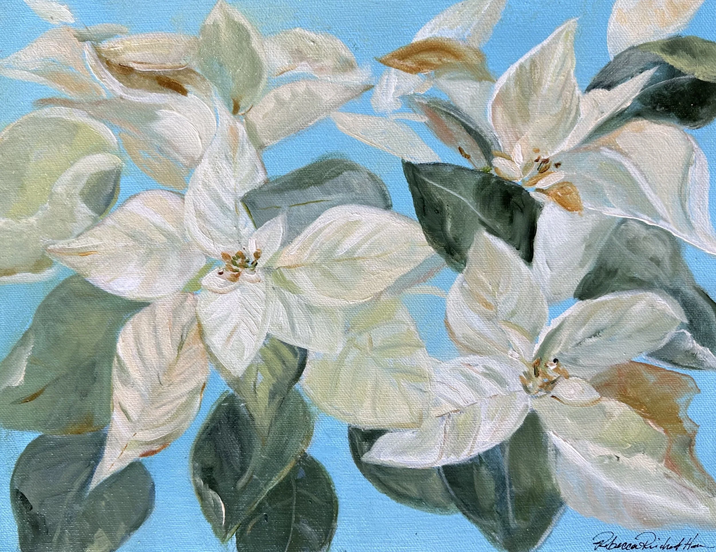 Pointsetta white.jpg