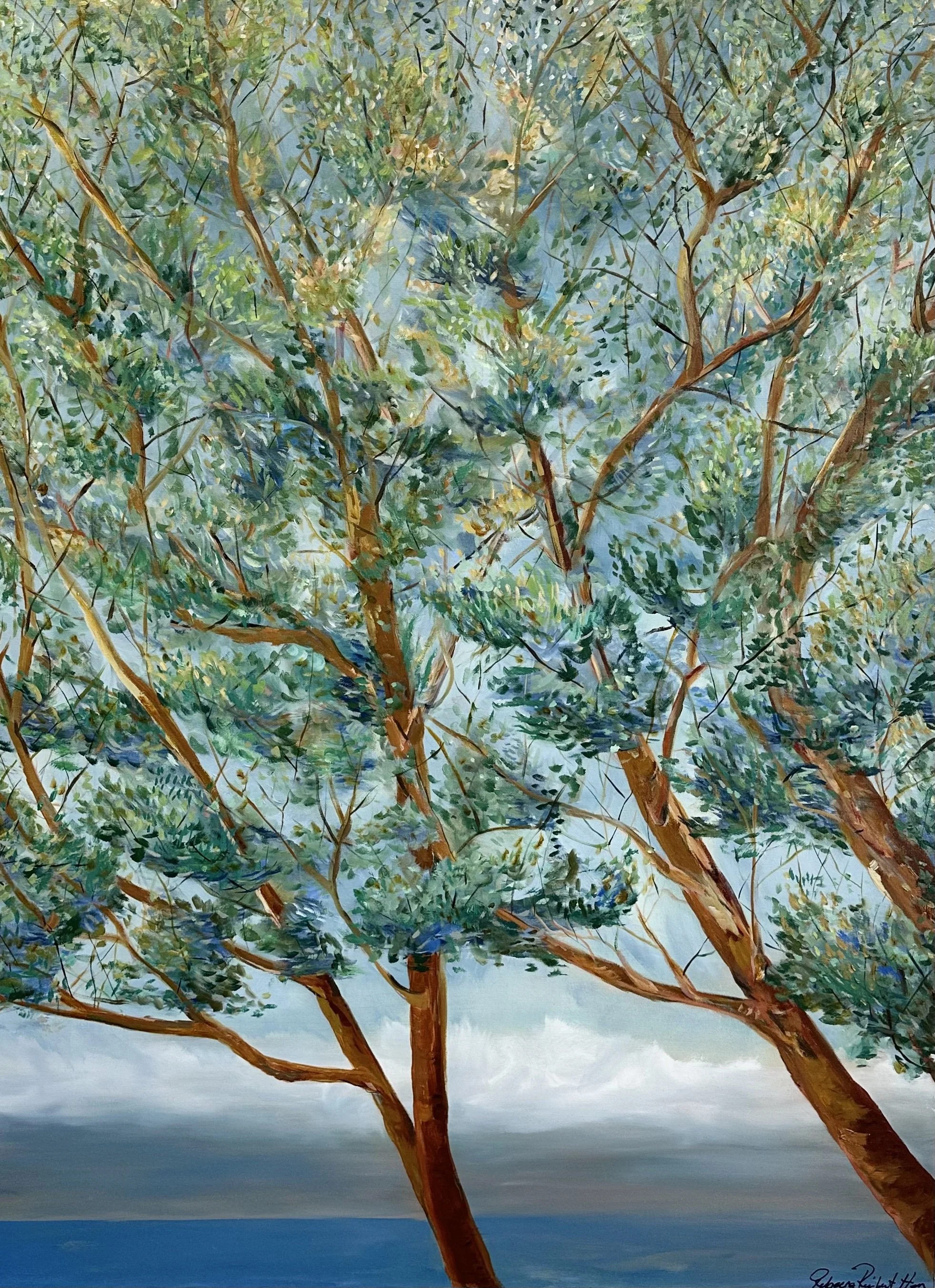 Magnolia Tree, Orcas Island, Oil on Canvas — Rebecca Reichert Han