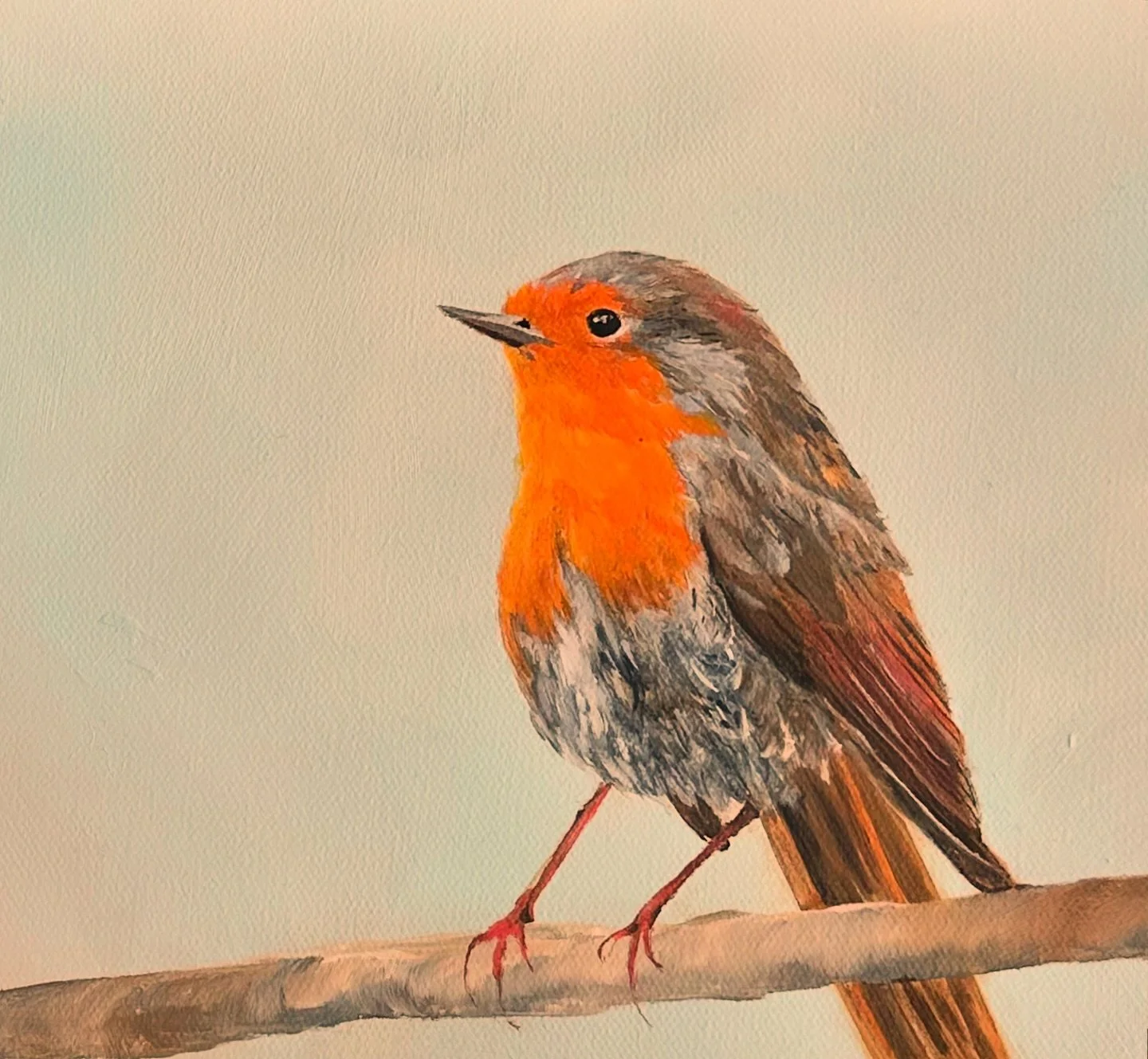 This piece is available for purchase! On view at Brooke Westlund Studio &amp; Gallery in Pike Place Market. 

European Robin, Oil on Canvas, 11x14&rdquo; 

Currently I am working on a series of bird paintings. More to come!

#oiloncanvas #fineart #bi
