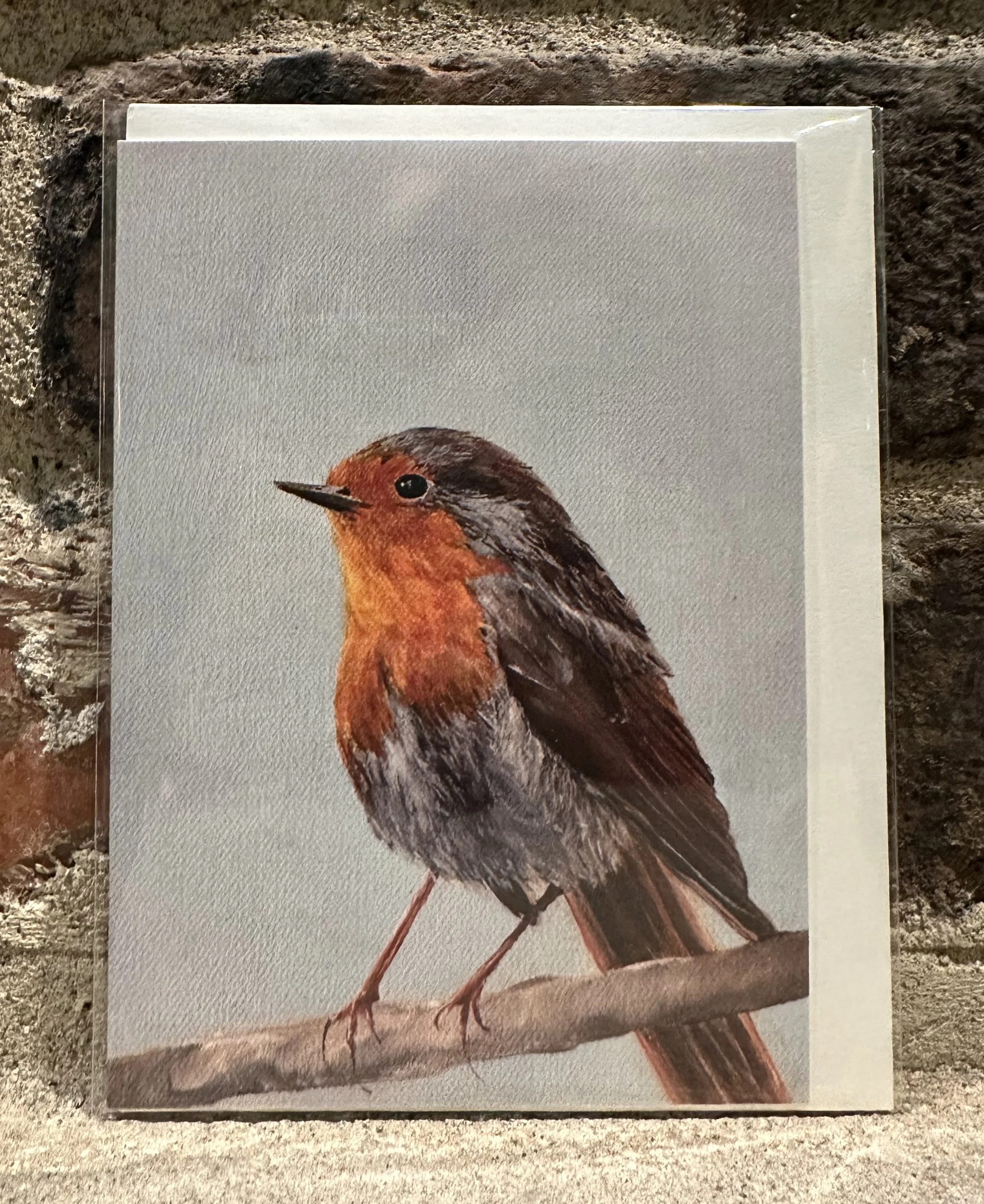 European Robin Card.jpg