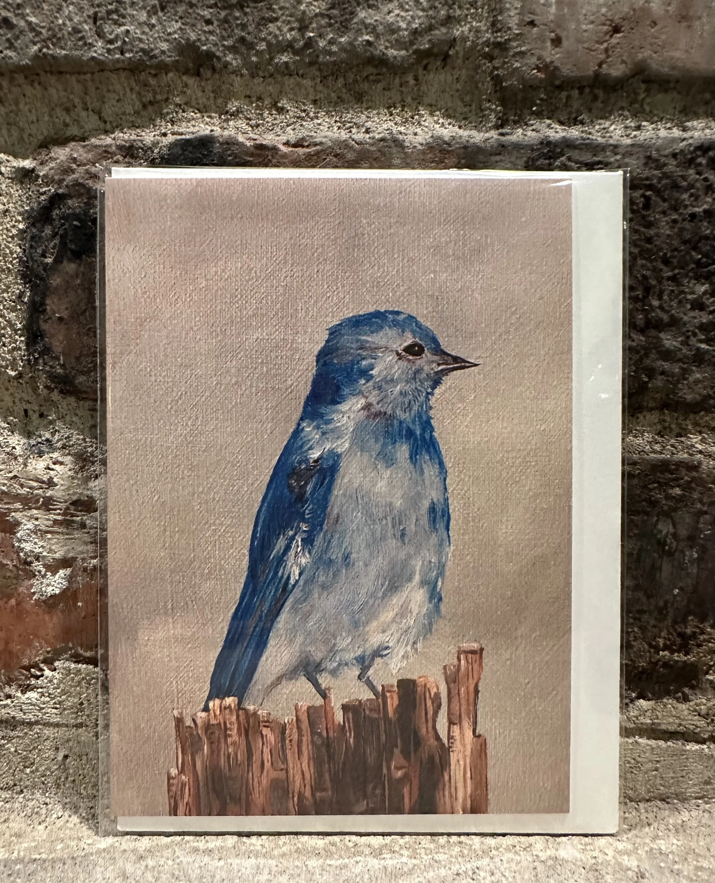 Mountain Blue Bird Card.jpg