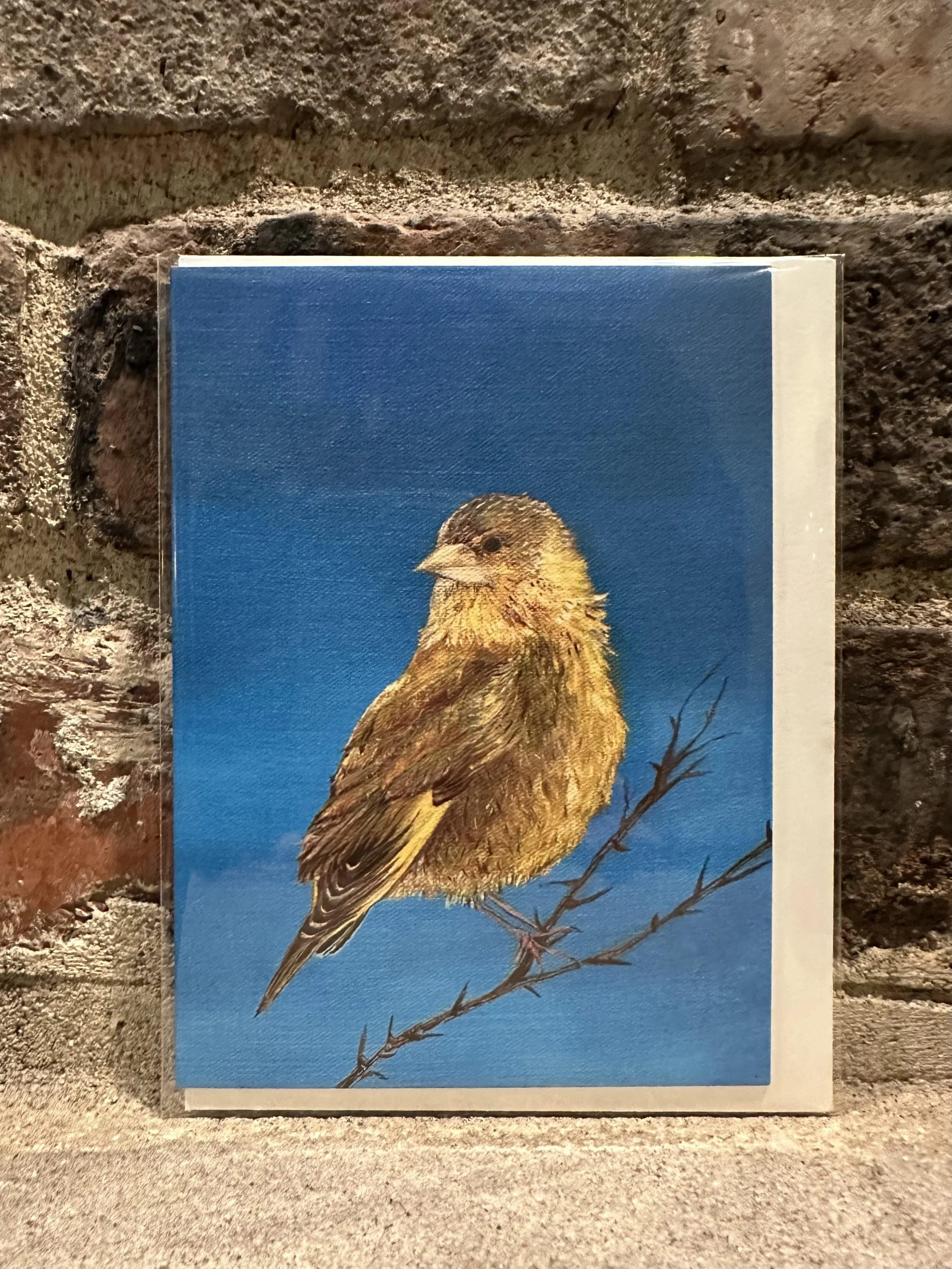 Golden Cutie Card.jpg