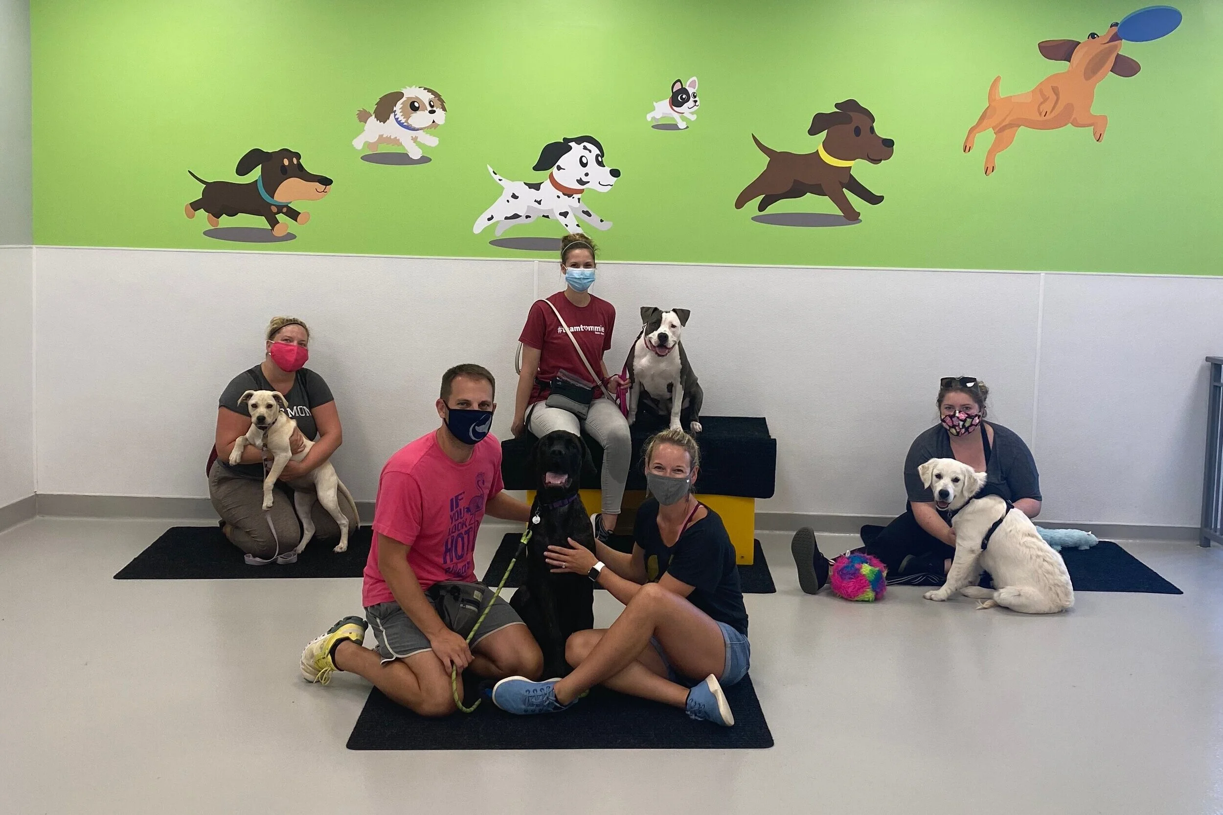 Basic Obedience Level 1 Graduates 8.4.20  