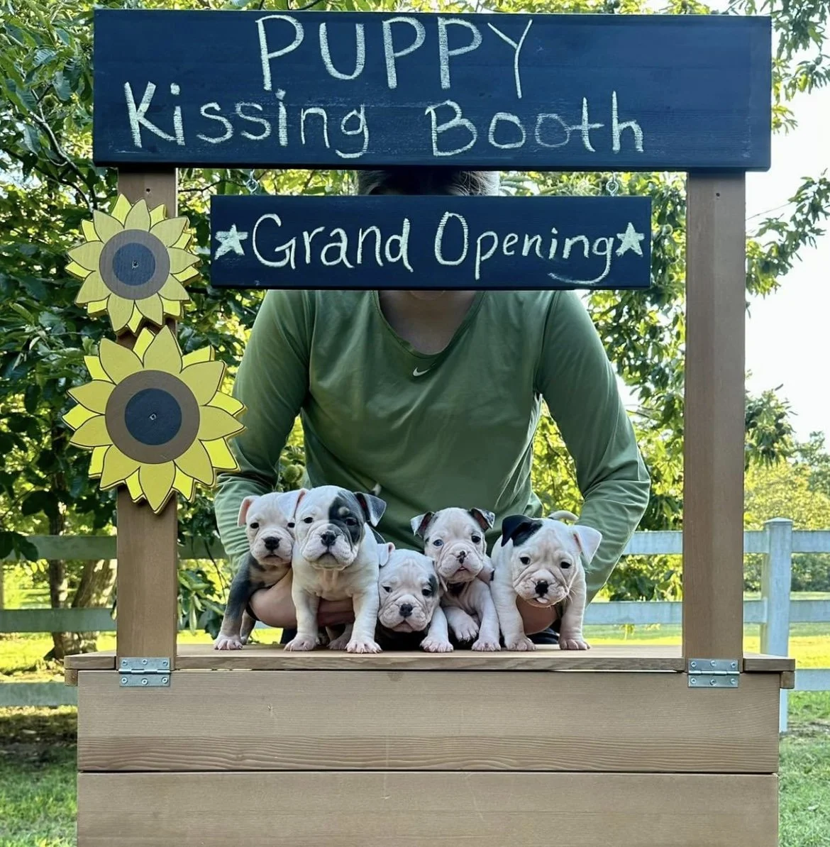 Liz's Place Rescue Resource Center GRAND OPENING