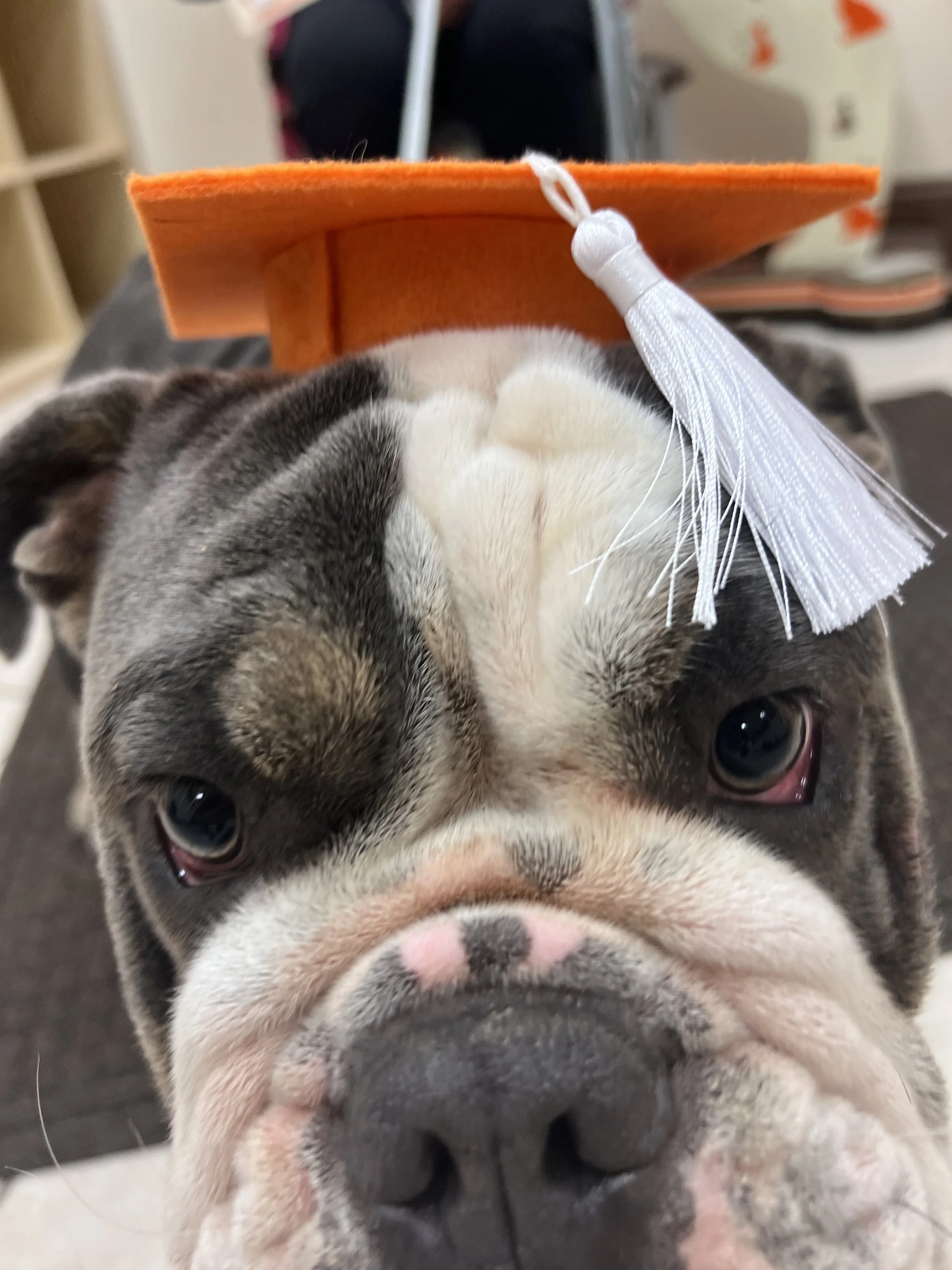 Basic 1 (Make up) Graduates 10.17.2023