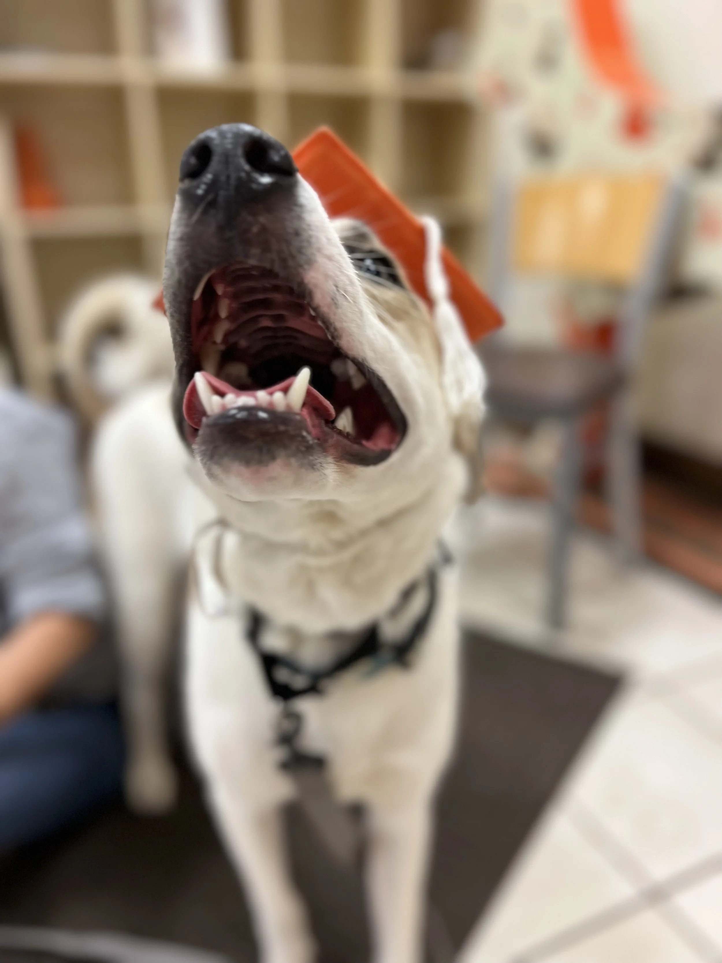 Basic 1 Graduates 10.8.2023 