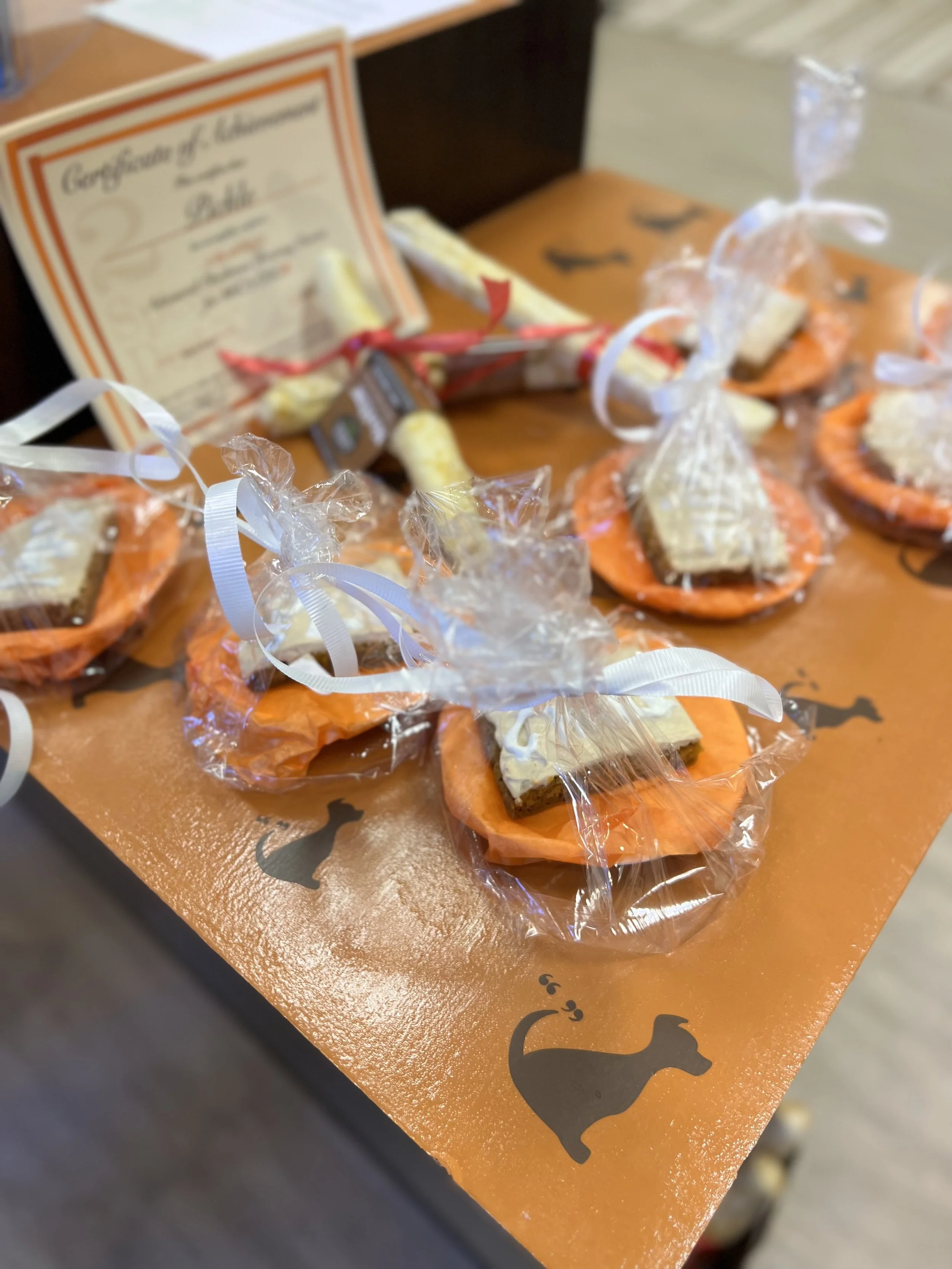 Advanced C.G.C Graduates 10.8.2023  