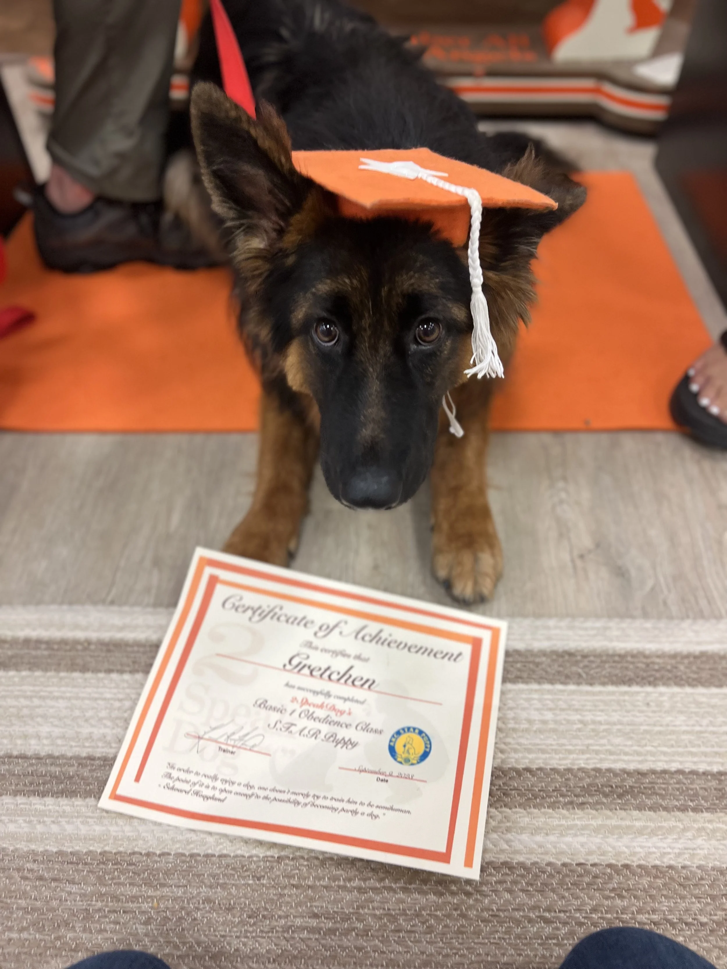 Basic 1 Graduates 9.9.2023