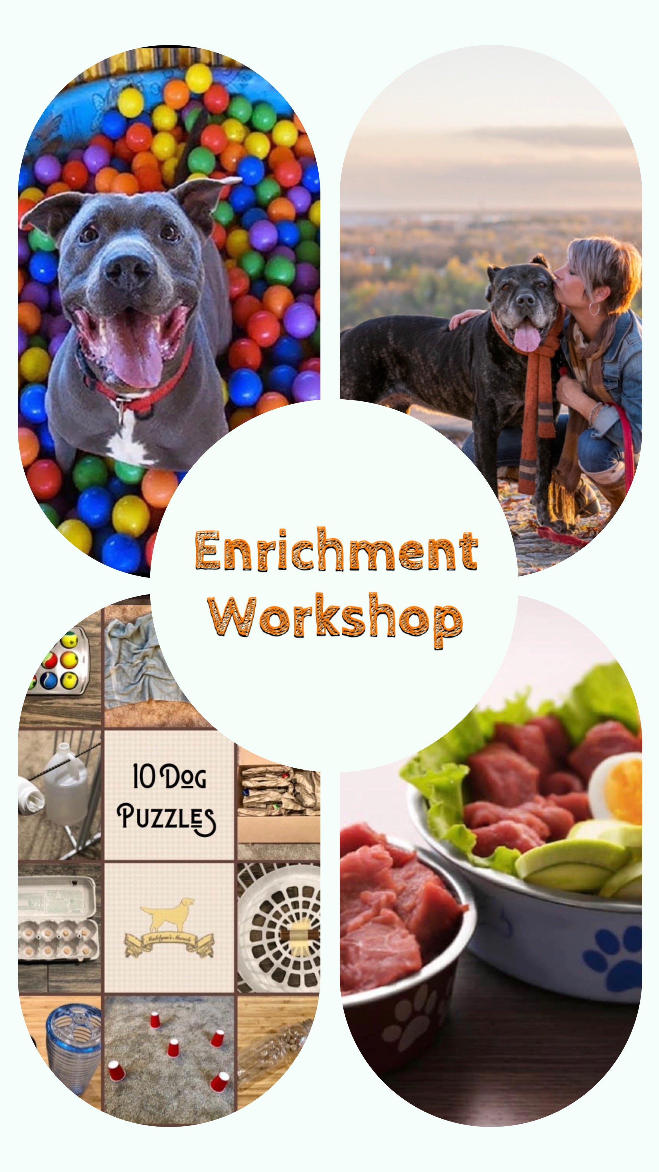 Canine Enrichment Workshop 4 Part Series - 8.9.24 - 8.17.24