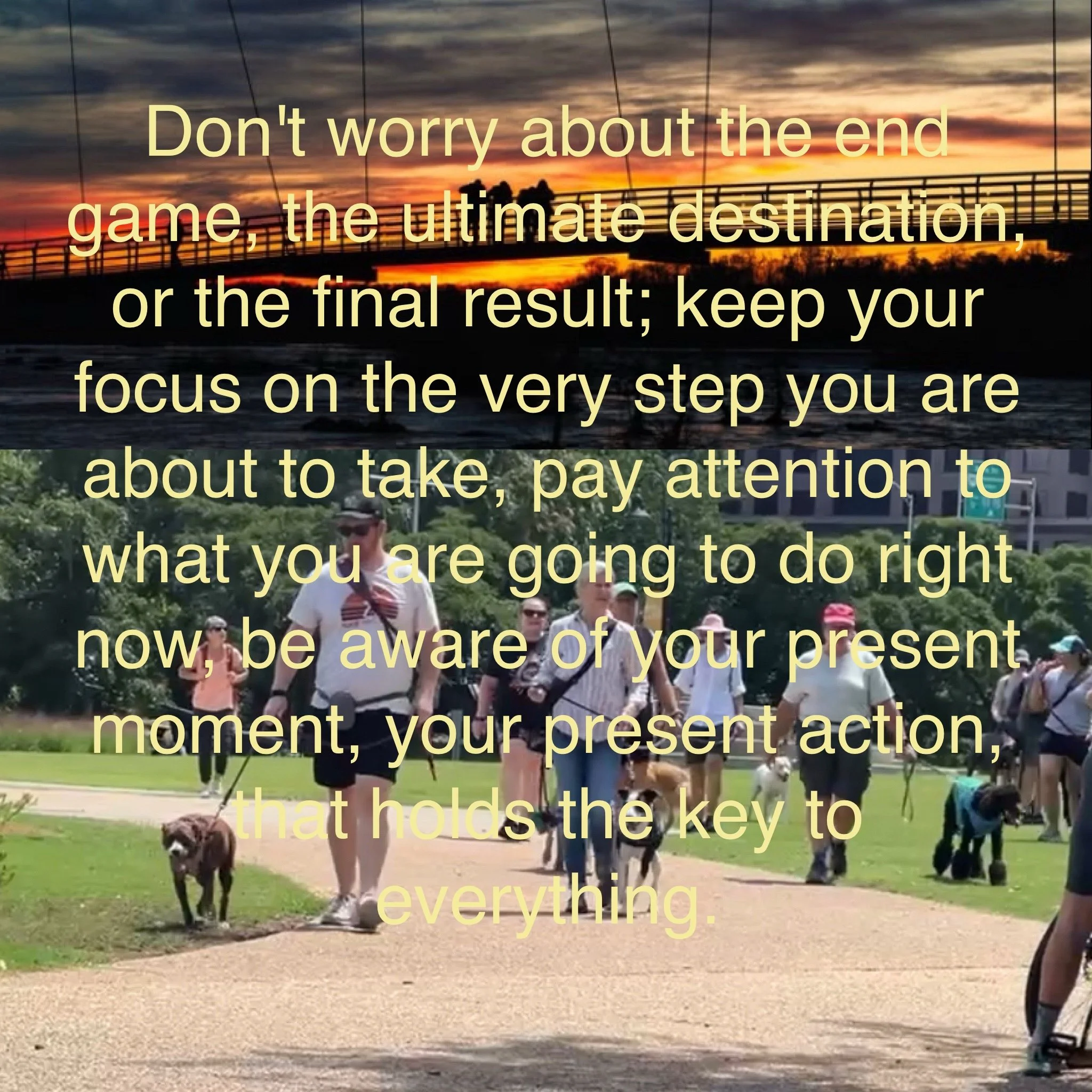 Sunset Pack Walk at Belle Isle - 8/17/25 6:30 PM