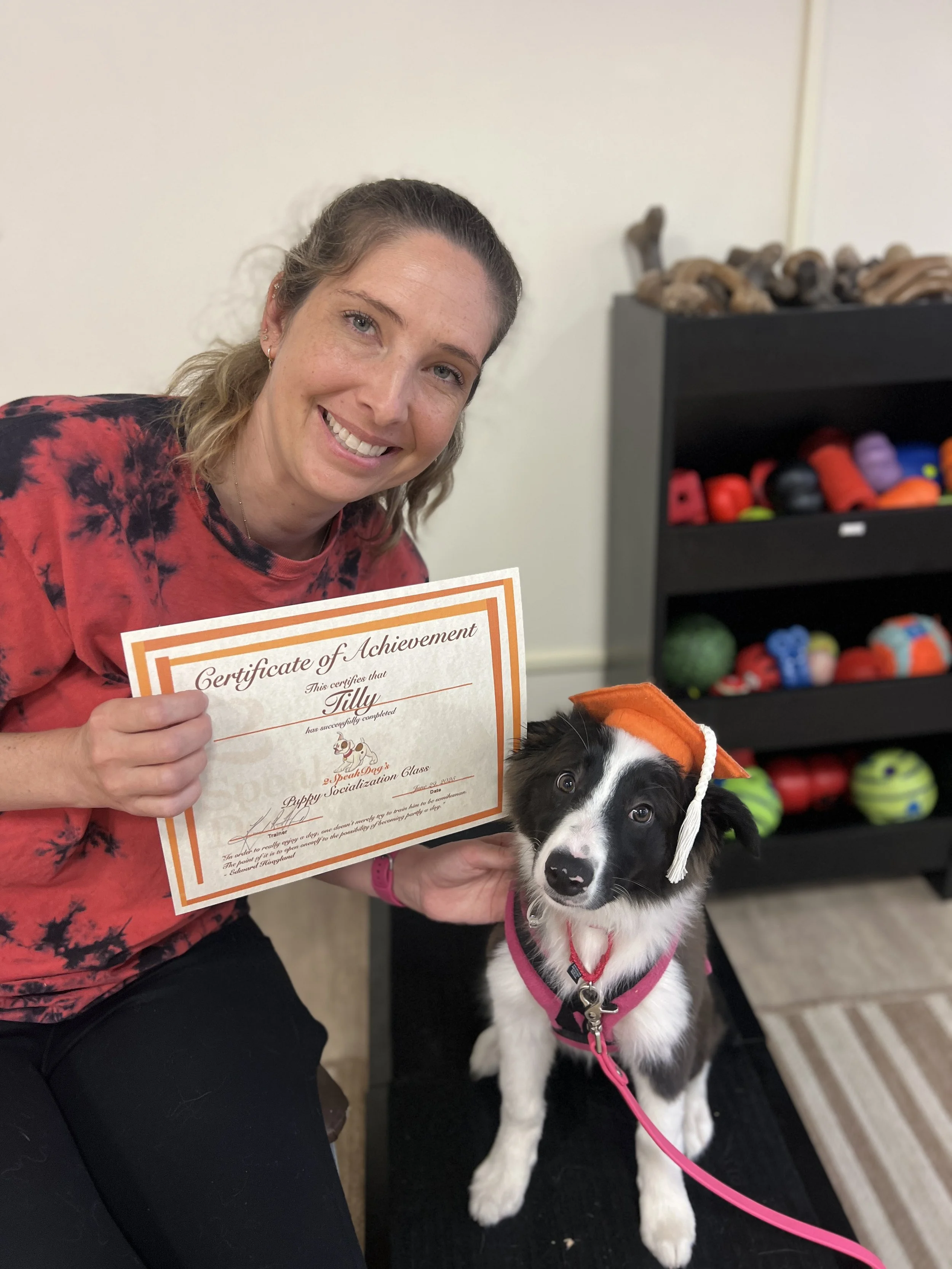 OLDER Puppy Socialization - Starts 8.21.25, 6:15 PM (CLASS FULL)