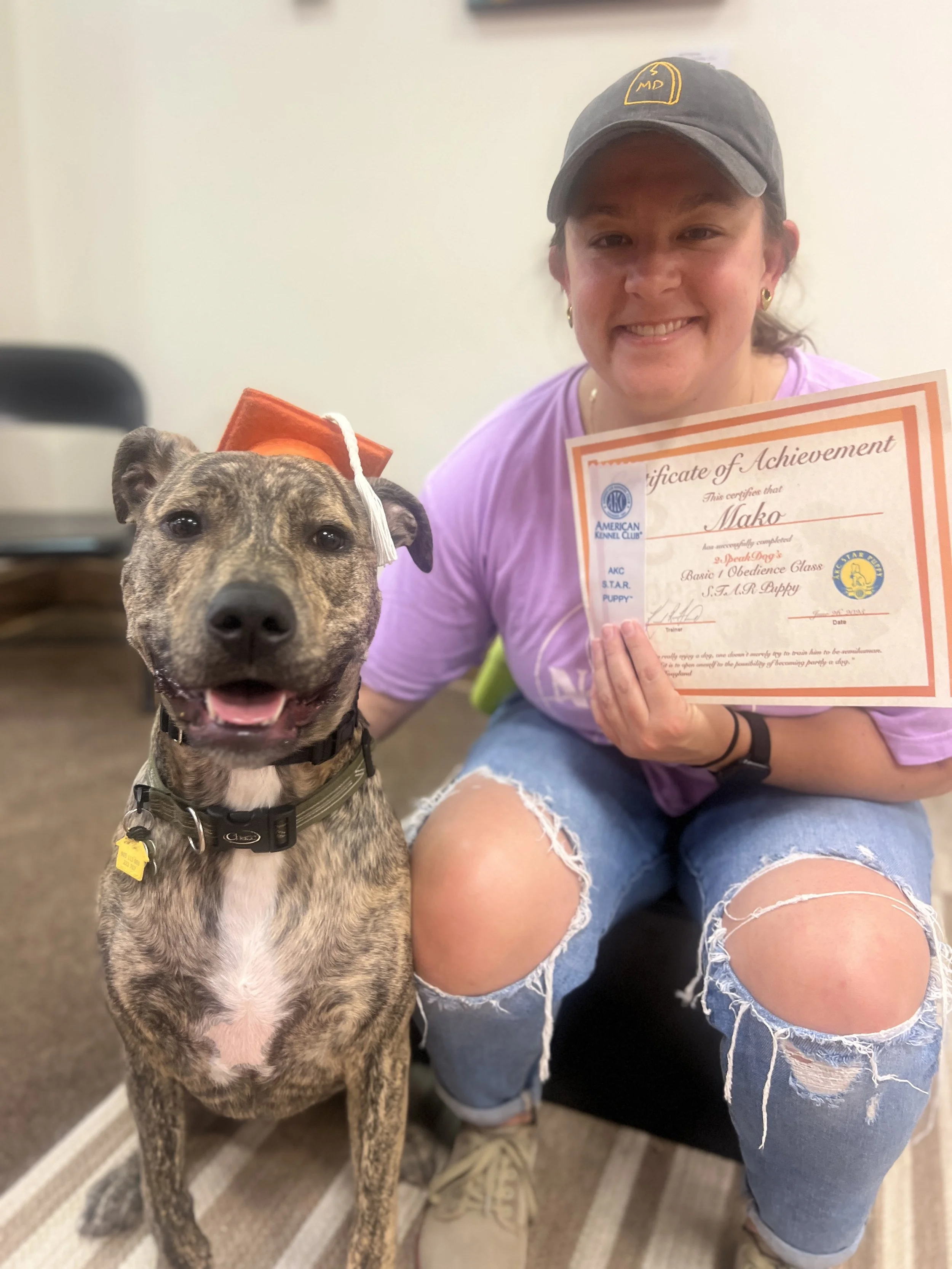 Basic Obedience Level I - Starts 10.21.25, 6:15 PM  