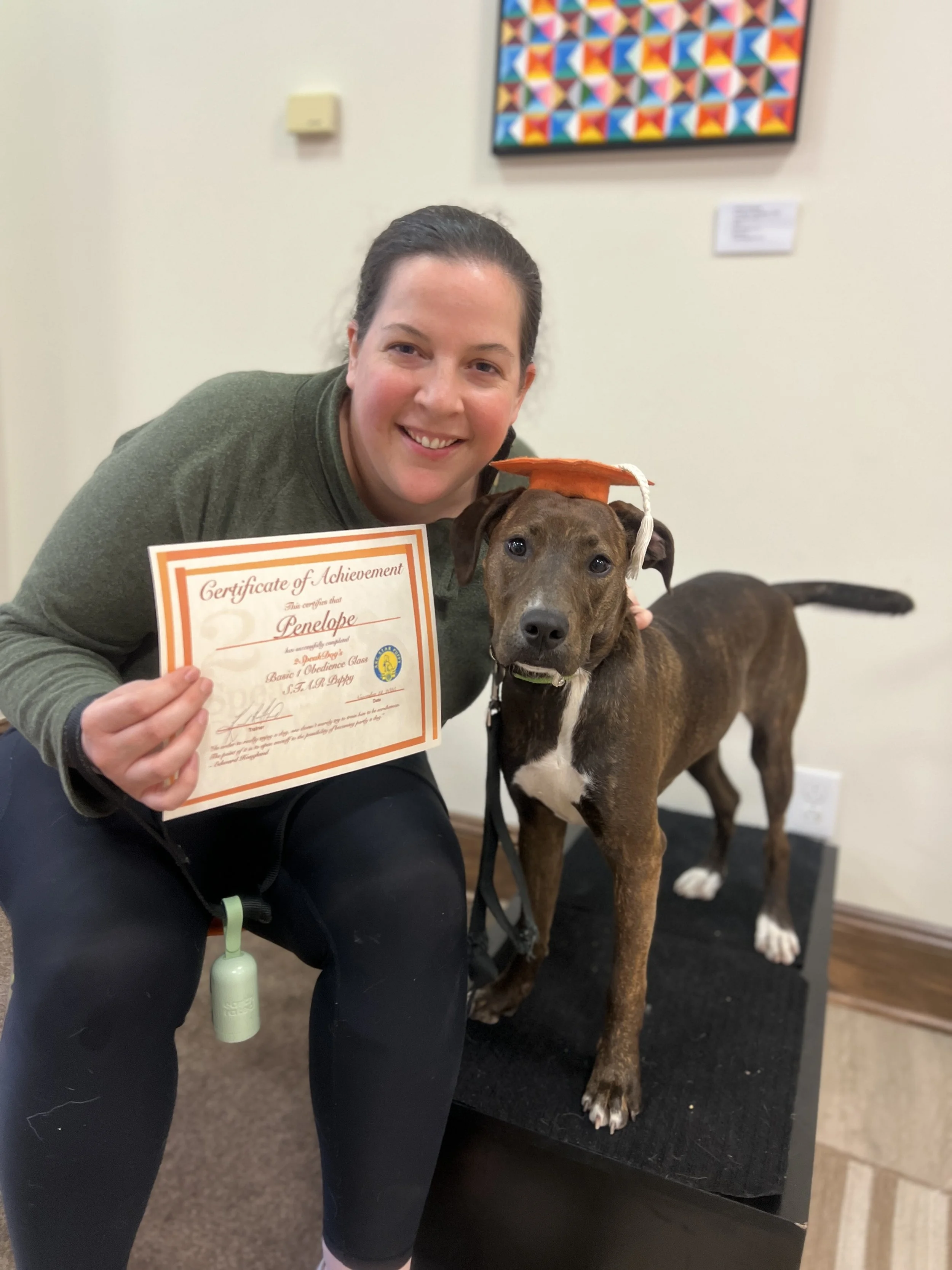 Basic Obedience Level I - Starts 1.17.26, 11:30 AM   