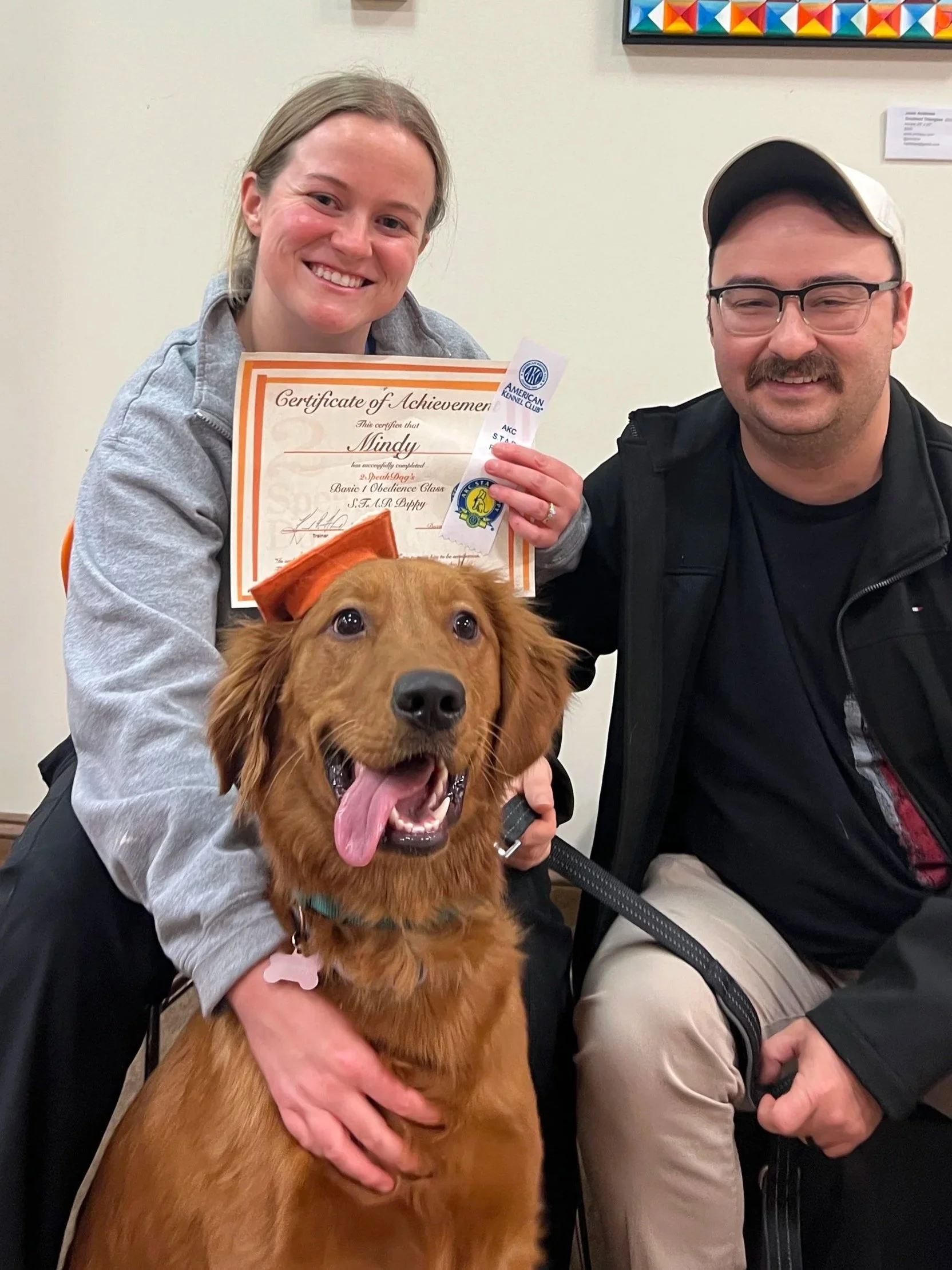 Basic Obedience Level I - Starts 3.6.26, 11:30 AM