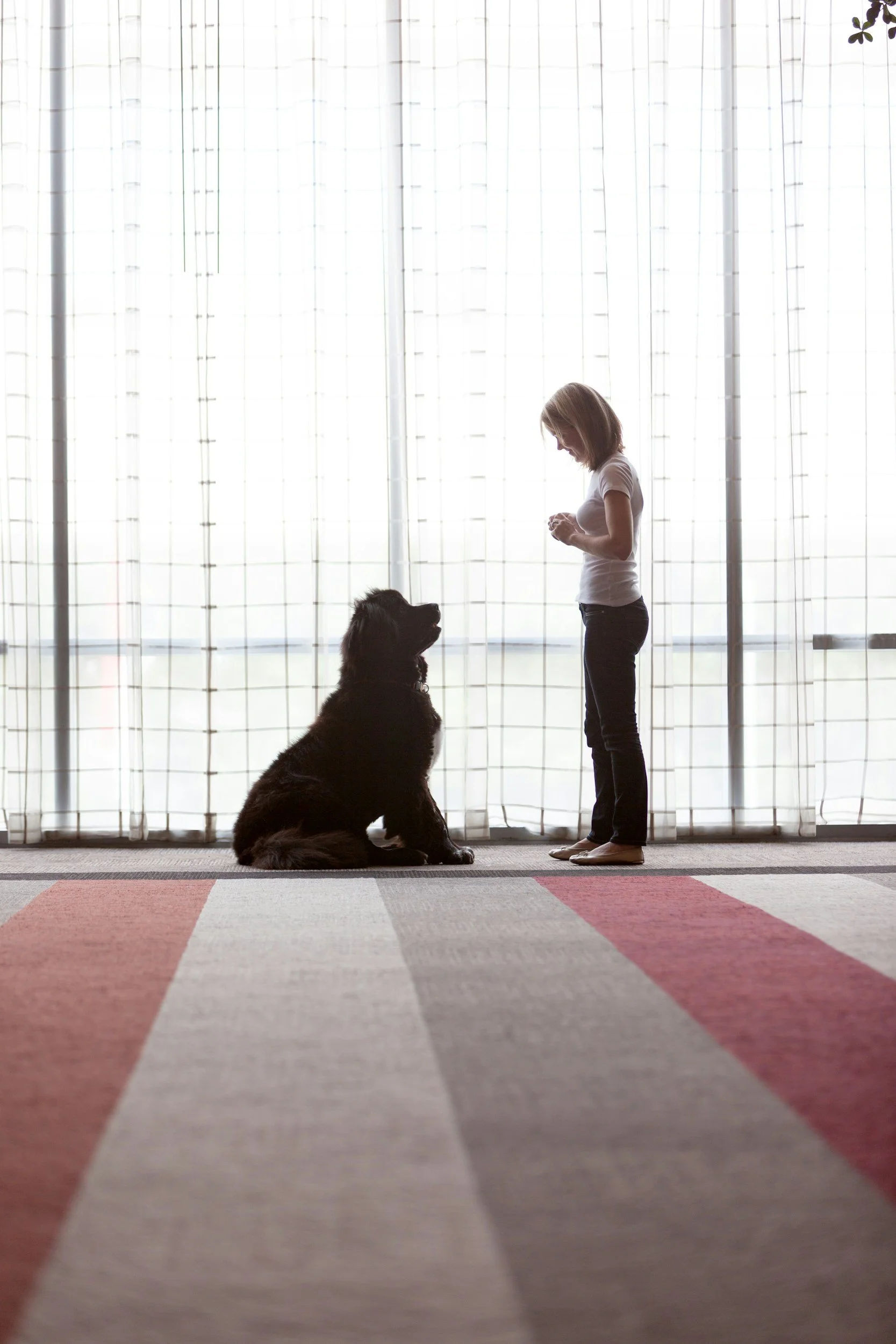 Obedience Brush-up, 3.25.26, 7:30pm 