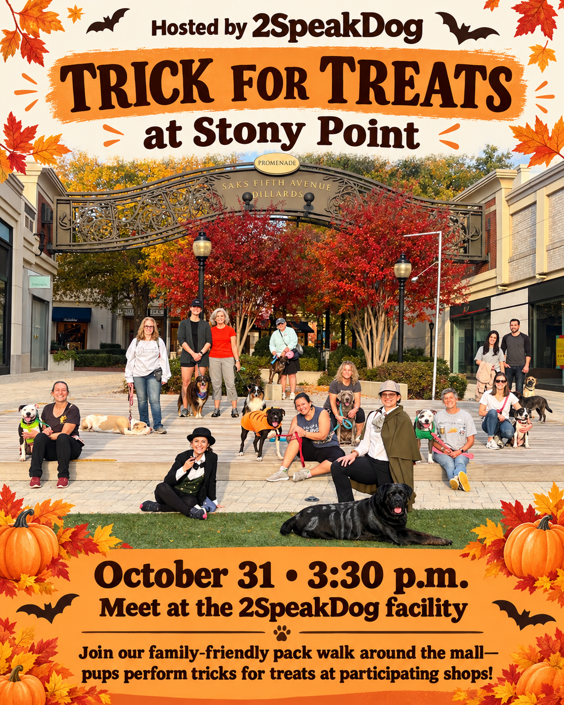 Tricks For Treats