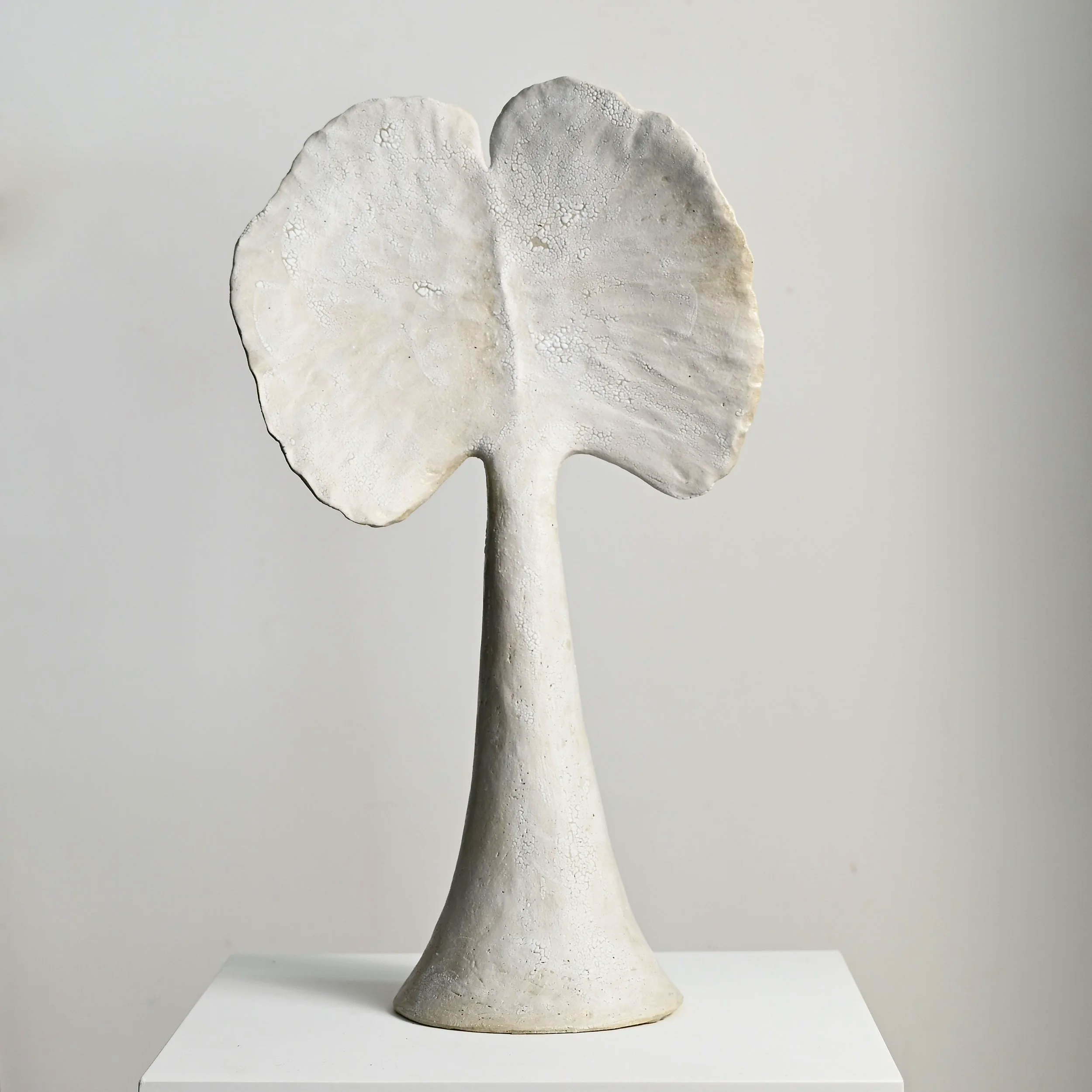Gingko Leaf