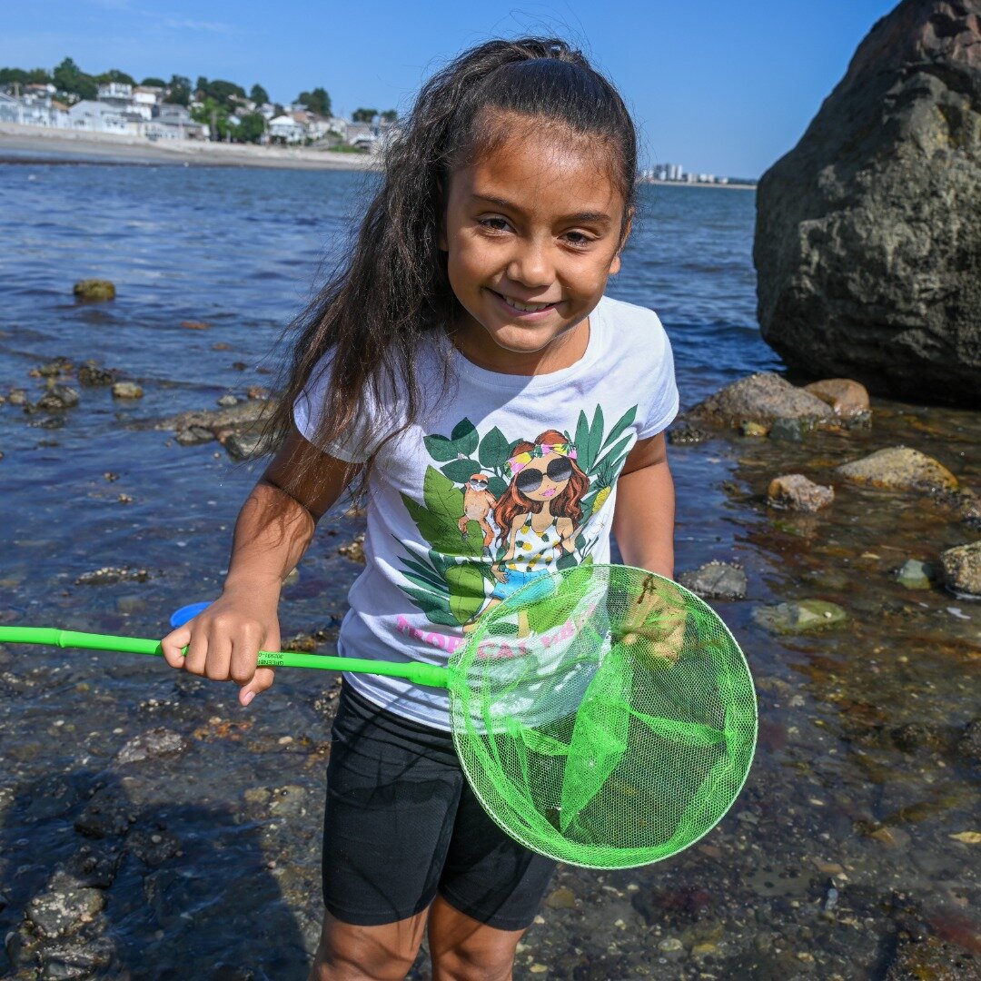 Are you interested in exploring your local beaches this summer? Join Save the Harbor for a #savetheharborsummer and keep an eye out for our Better Beaches events!

We will be partnering with almost 100 local organizations to bring more than 200 beach