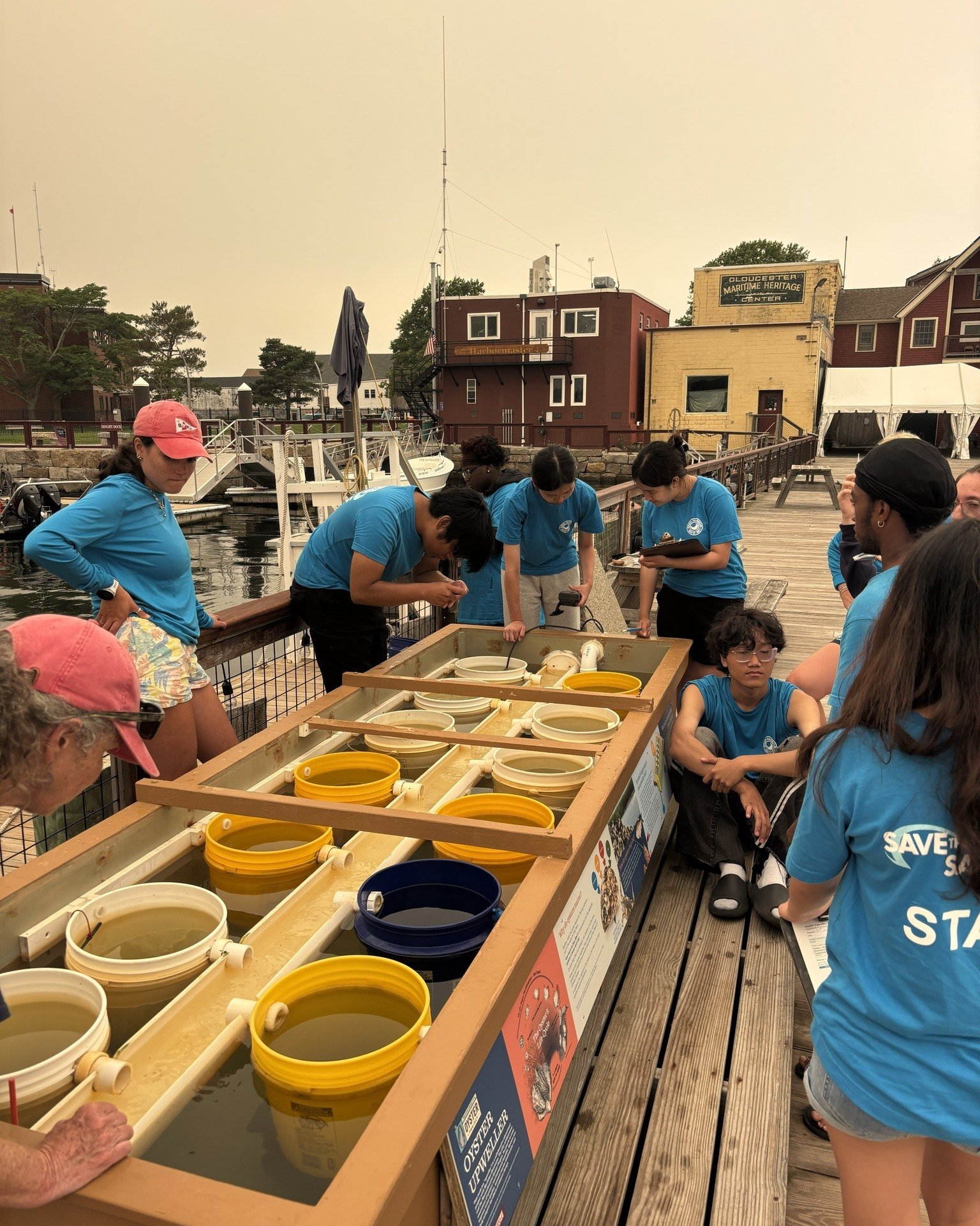 Our youth staff became marine scientists for the day with @oysterprojectma! 🌊🦪

As part of our youth leadership program, we make sure to expose our youth staff to potential careers in STEM. In partnership with Mass Oyster, they conducted real water
