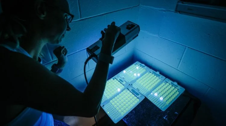 Nahant joins the fight for cleaner beaches